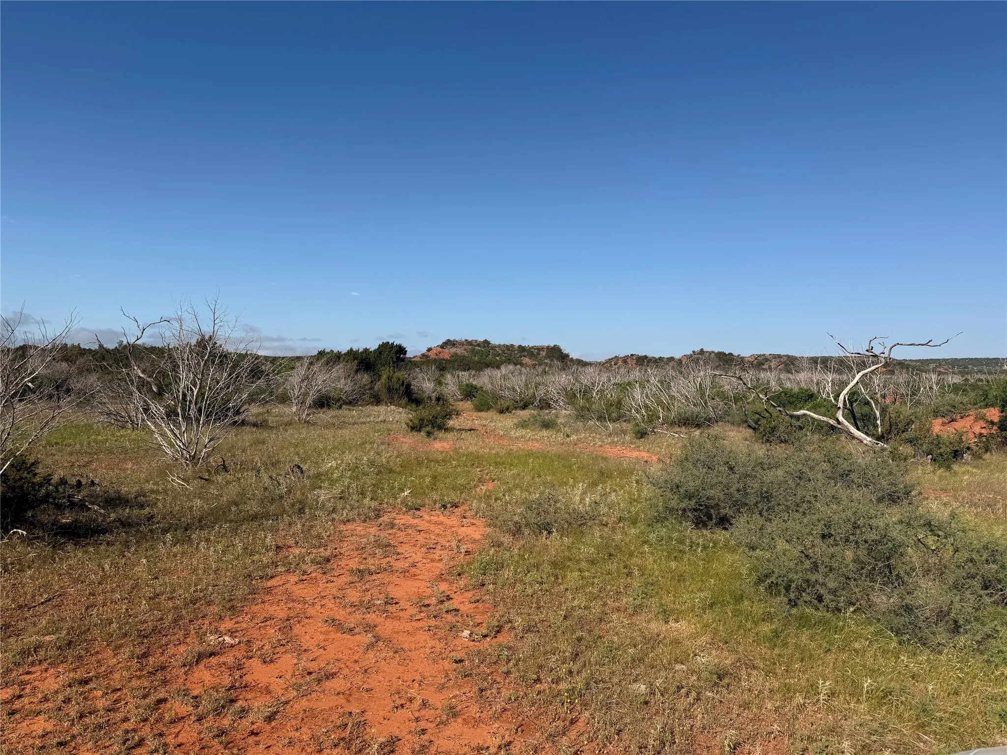 Ranch For Sale in Taylor County , 180 acres TBD CR 343, Merkel, Texas 79536, 0, 0, Garage spaces, 0 Sqft, built in 0, Price $684,000, mls#21270829, Real Estate Agent in Merkel, Homes For Sale in Taylor county, Homes For Sale in Merkel, Realtor in Merkel Texas, Real Estate Brokerage Independent Realty Texas, Luminita Cordes Realtor