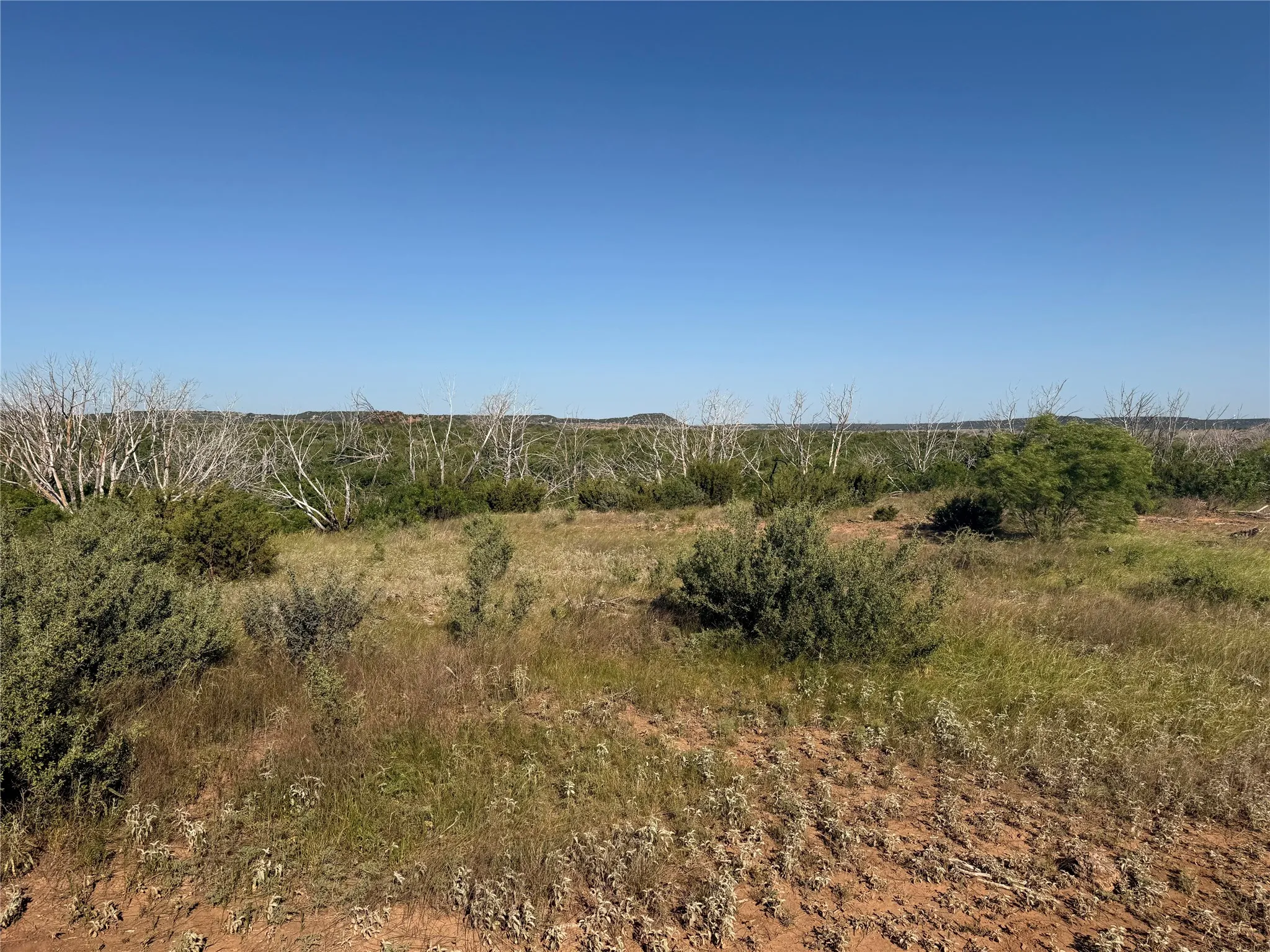 Ranch For Sale in Taylor County , 180 acres TBD CR 343, Merkel, Texas 79536, 0, 0, Garage spaces, 0 Sqft, built in 0, Price $684,000, mls#21270829, Real Estate Agent in Merkel, Homes For Sale in Taylor county, Homes For Sale in Merkel, Realtor in Merkel Texas, Real Estate Brokerage Independent Realty Texas, Luminita Cordes Realtor