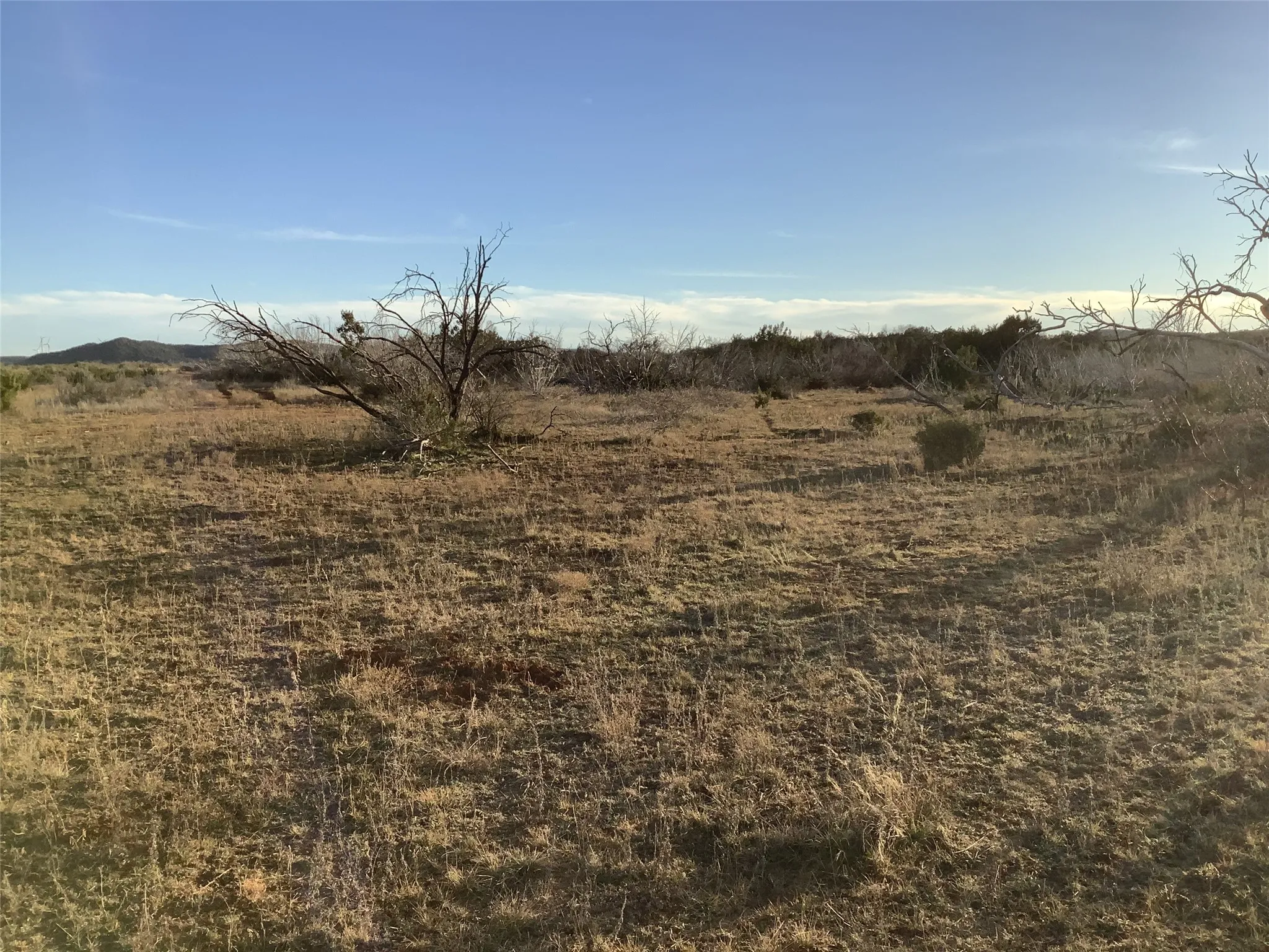 Ranch For Sale in Taylor County , 180 acres TBD CR 343, Merkel, Texas 79536, 0, 0, Garage spaces, 0 Sqft, built in 0, Price $684,000, mls#21270829, Real Estate Agent in Merkel, Homes For Sale in Taylor county, Homes For Sale in Merkel, Realtor in Merkel Texas, Real Estate Brokerage Independent Realty Texas, Luminita Cordes Realtor