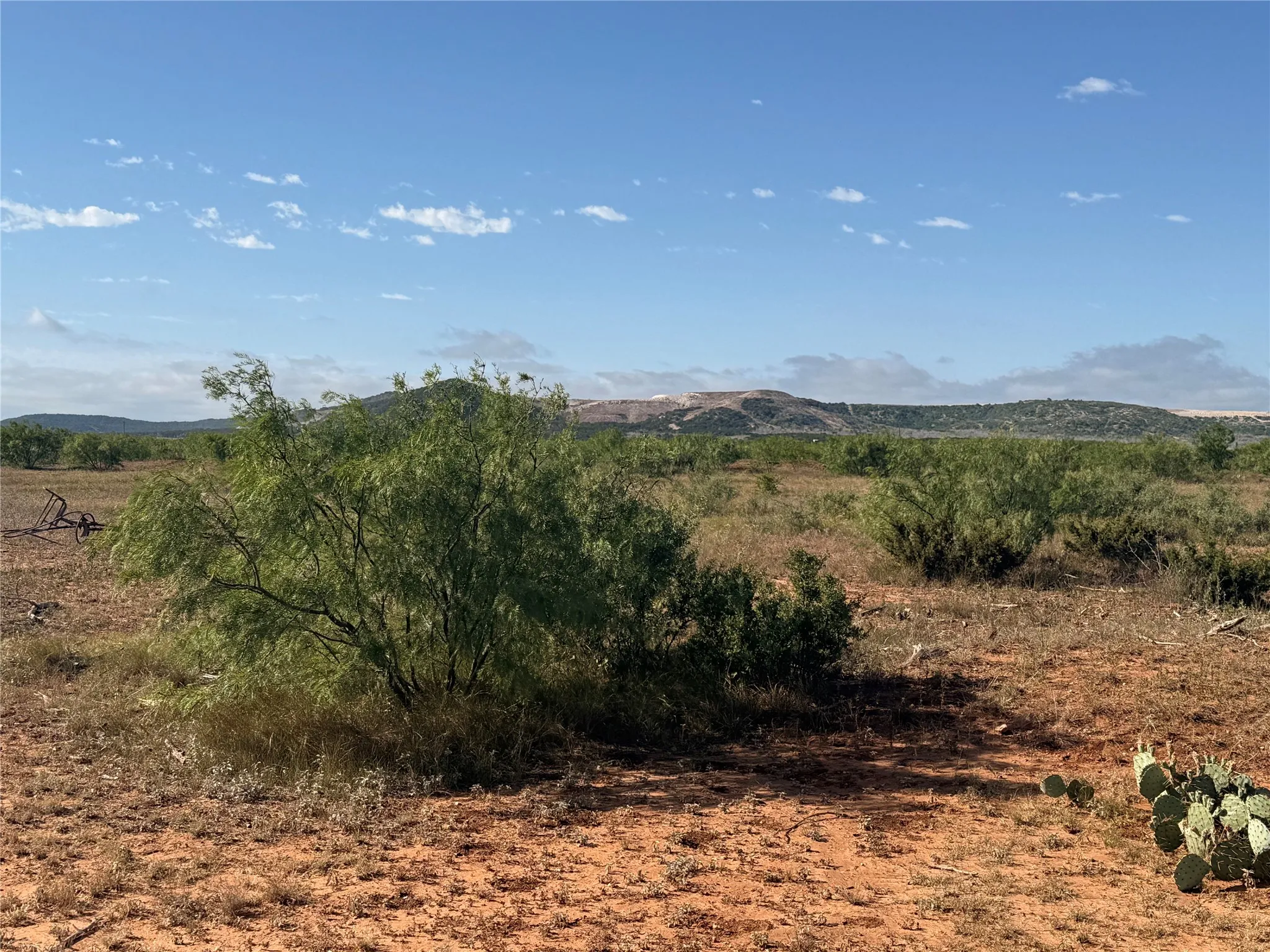 Unimproved Land For Sale in Taylor County , 58 acres TBD CR 343, Merkel, Texas 79536, 0, 0, Garage spaces, 0 Sqft, built in 0, mls#21273136, Real Estate Agent in Merkel, Homes For Sale in Taylor county, Homes For Sale in Merkel, Realtor in Merkel Texas, Real Estate Brokerage Independent Realty Texas, Luminita Cordes Realtor