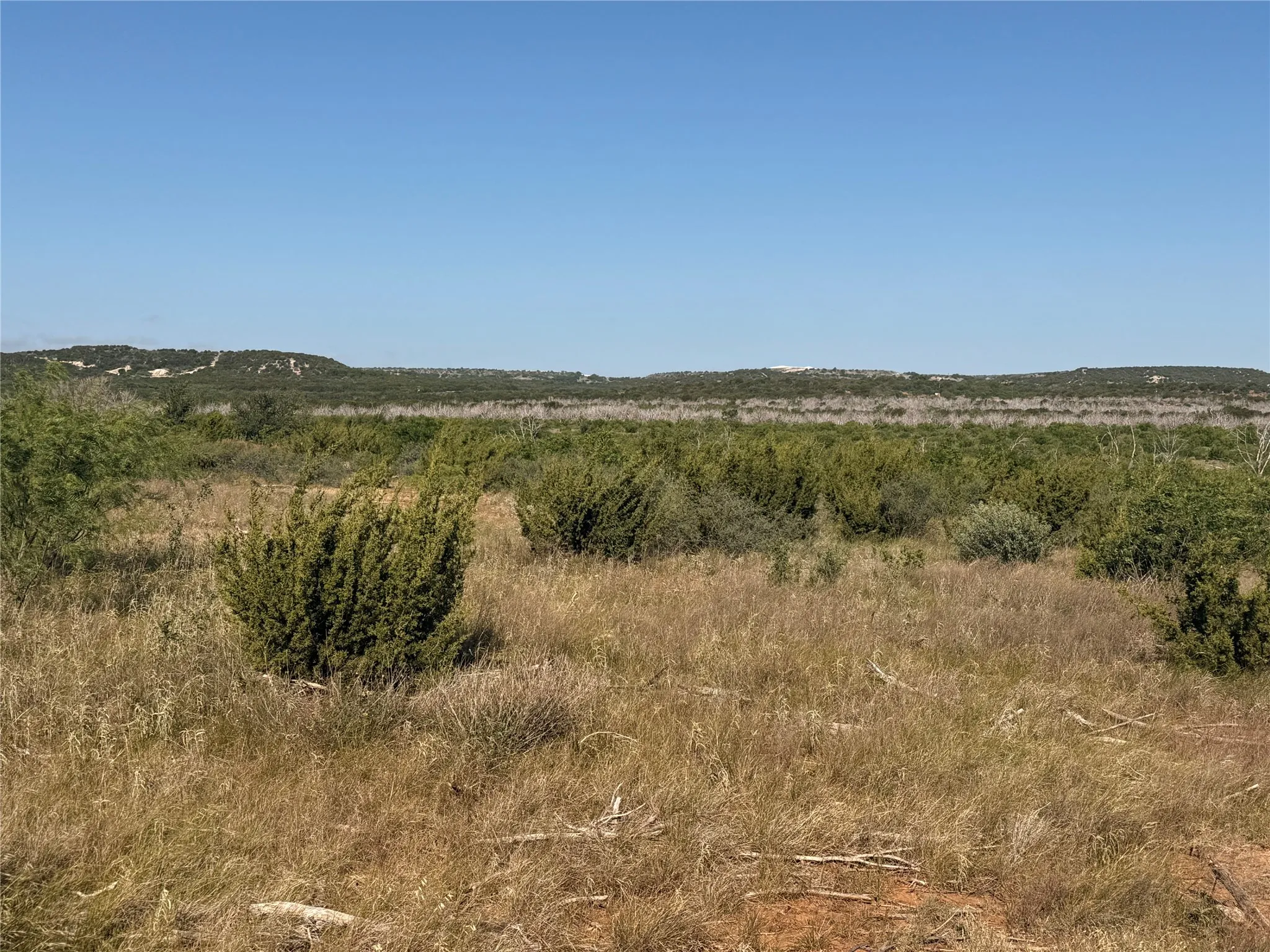 Unimproved Land For Sale in Taylor County , 58 acres TBD CR 343, Merkel, Texas 79536, 0, 0, Garage spaces, 0 Sqft, built in 0, mls#21273136, Real Estate Agent in Merkel, Homes For Sale in Taylor county, Homes For Sale in Merkel, Realtor in Merkel Texas, Real Estate Brokerage Independent Realty Texas, Luminita Cordes Realtor