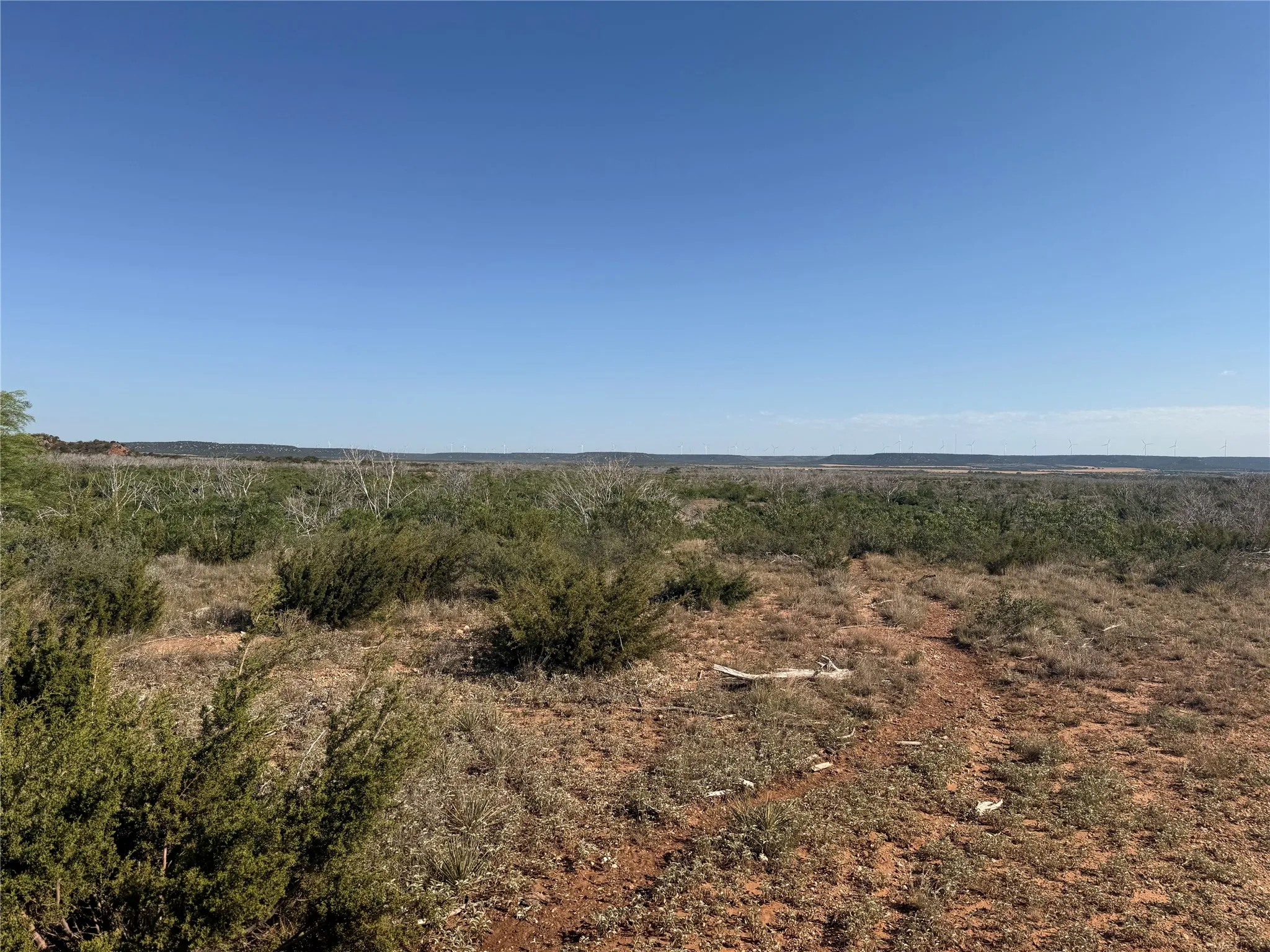 Unimproved Land For Sale in Taylor County , 58 acres TBD CR 343, Merkel, Texas 79536, 0, 0, Garage spaces, 0 Sqft, built in 0, mls#21273136, Real Estate Agent in Merkel, Homes For Sale in Taylor county, Homes For Sale in Merkel, Realtor in Merkel Texas, Real Estate Brokerage Independent Realty Texas, Luminita Cordes Realtor