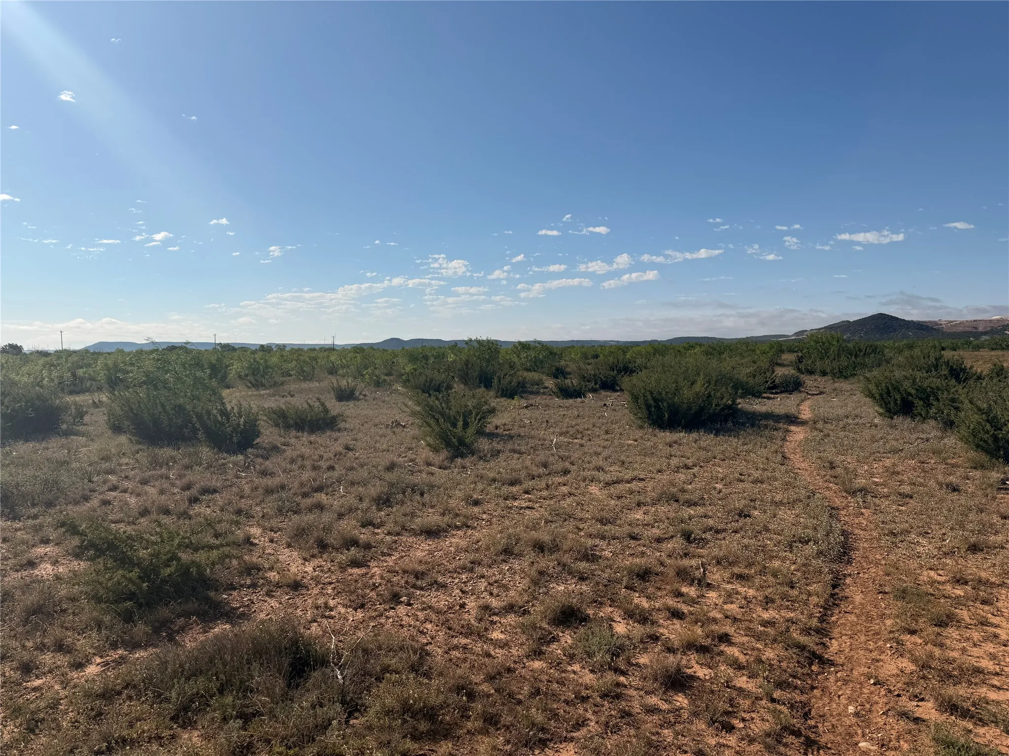 Unimproved Land For Sale in Taylor County , 58 acres TBD CR 343, Merkel, Texas 79536, 0, 0, Garage spaces, 0 Sqft, built in 0, mls#21273136, Real Estate Agent in Merkel, Homes For Sale in Taylor county, Homes For Sale in Merkel, Realtor in Merkel Texas, Real Estate Brokerage Independent Realty Texas, Luminita Cordes Realtor