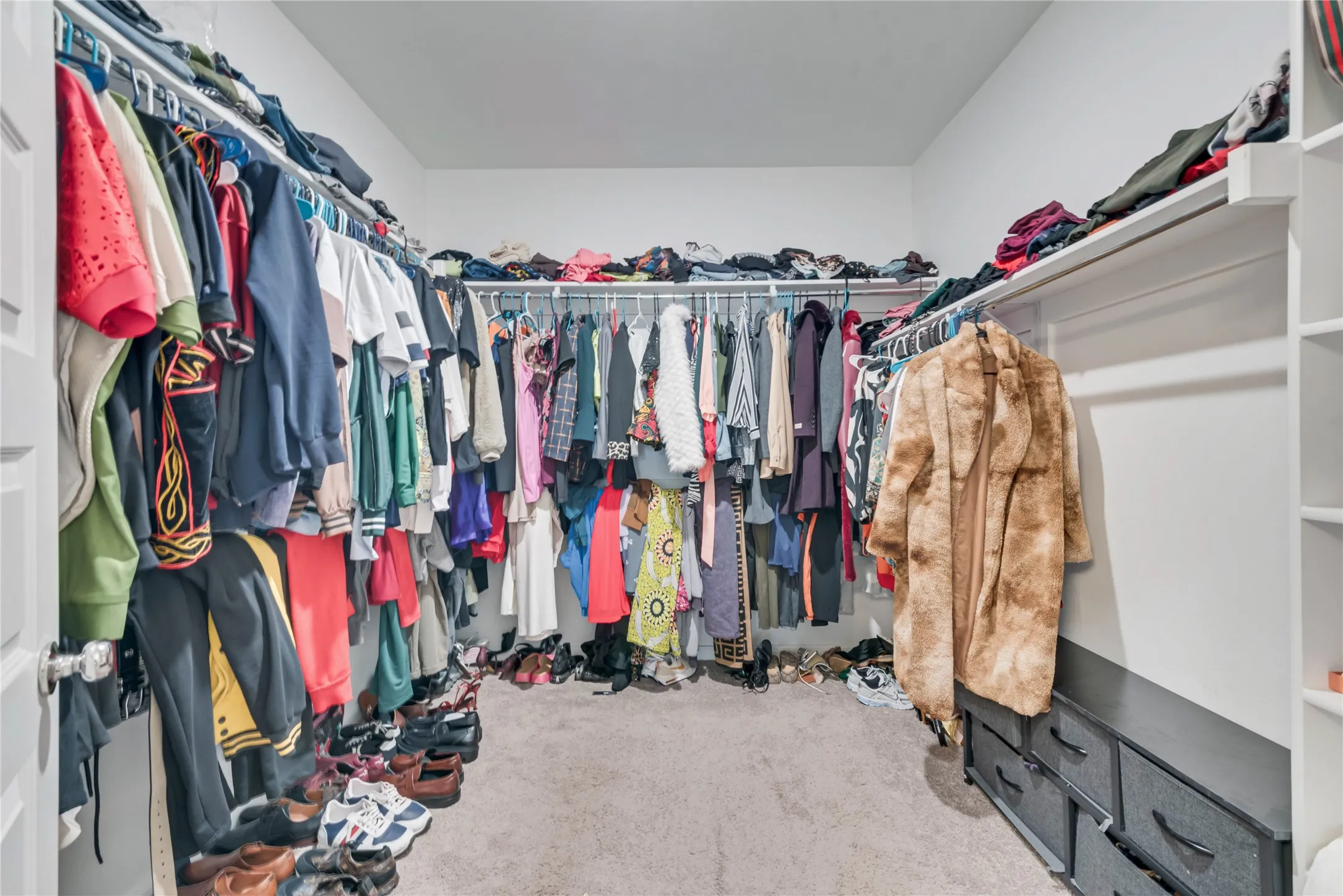 Walk in closet featuring carpet floors