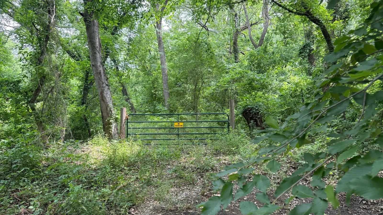 Unimproved Land For Sale in Collin County , TBD CR 470, Blue Ridge, Texas 75071, 0, 0, Garage spaces, 0 Sqft, built in 0, mls#21273150, Real Estate Agent in Blue Ridge, Homes For Sale in Collin county, Homes For Sale in Blue Ridge, Realtor in Blue Ridge Texas, Real Estate Brokerage Independent Realty Texas, Luminita Cordes Realtor