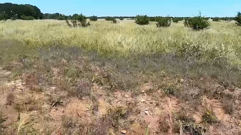 Unimproved Land For Sale in Coryell County , 374 Yellowstone Drive, Oglesby, Texas 76561, 0, 0, Garage spaces, 0 Sqft, built in 0, Price $120,000, mls#21267924, Real Estate Agent in Oglesby, Homes For Sale in Coryell county, Homes For Sale in Oglesby, Realtor in Oglesby Texas, Real Estate Brokerage Independent Realty Texas, Luminita Cordes Realtor