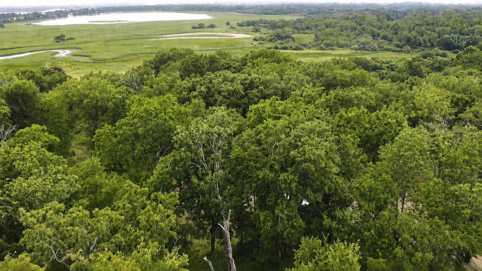 Unimproved Land For Sale in Kaufman County , 109 LAKEVIEW Trail, Mabank, Texas 75147, 0, 0, Garage spaces, 0 Sqft, built in 0, mls#21272656, Real Estate Agent in Mabank, Homes For Sale in Kaufman county, Homes For Sale in Mabank, Realtor in Mabank Texas, Real Estate Brokerage Independent Realty Texas, Luminita Cordes Realtor