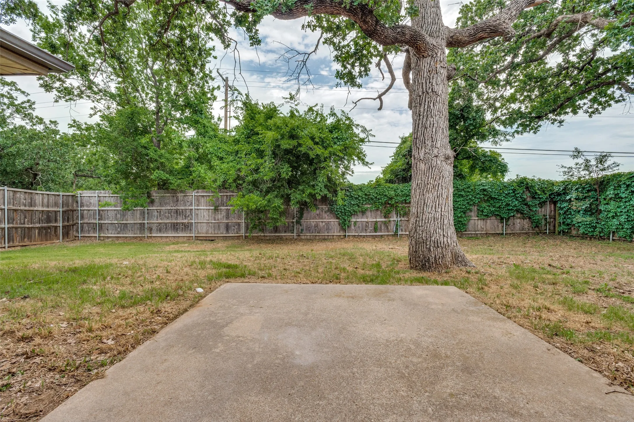 Expansive backyard featuring a large concrete patio, mature tree, and wood privacy fencing