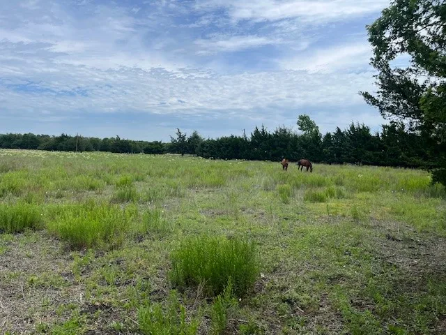 Improved Land For Sale in Rockwall County , 706 Prince Lane, Fate, Texas 75087, 0, 0, Garage spaces, 0 Sqft, built in 0, mls#21273229, Real Estate Agent in Fate, Homes For Sale in Rockwall county, Homes For Sale in Fate, Realtor in Fate Texas, Real Estate Brokerage Independent Realty Texas, Luminita Cordes Realtor