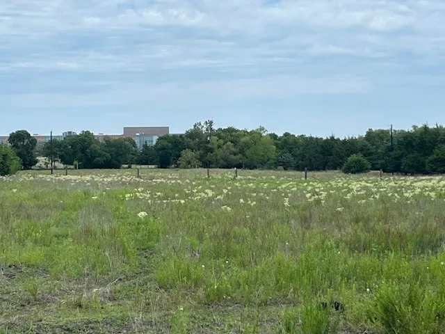 Improved Land For Sale in Rockwall County , 706 Prince Lane, Fate, Texas 75087, 0, 0, Garage spaces, 0 Sqft, built in 0, mls#21273229, Real Estate Agent in Fate, Homes For Sale in Rockwall county, Homes For Sale in Fate, Realtor in Fate Texas, Real Estate Brokerage Independent Realty Texas, Luminita Cordes Realtor