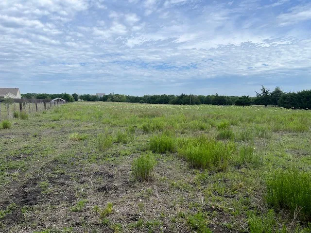Improved Land For Sale in Rockwall County , 706 Prince Lane, Fate, Texas 75087, 0, 0, Garage spaces, 0 Sqft, built in 0, mls#21273229, Real Estate Agent in Fate, Homes For Sale in Rockwall county, Homes For Sale in Fate, Realtor in Fate Texas, Real Estate Brokerage Independent Realty Texas, Luminita Cordes Realtor