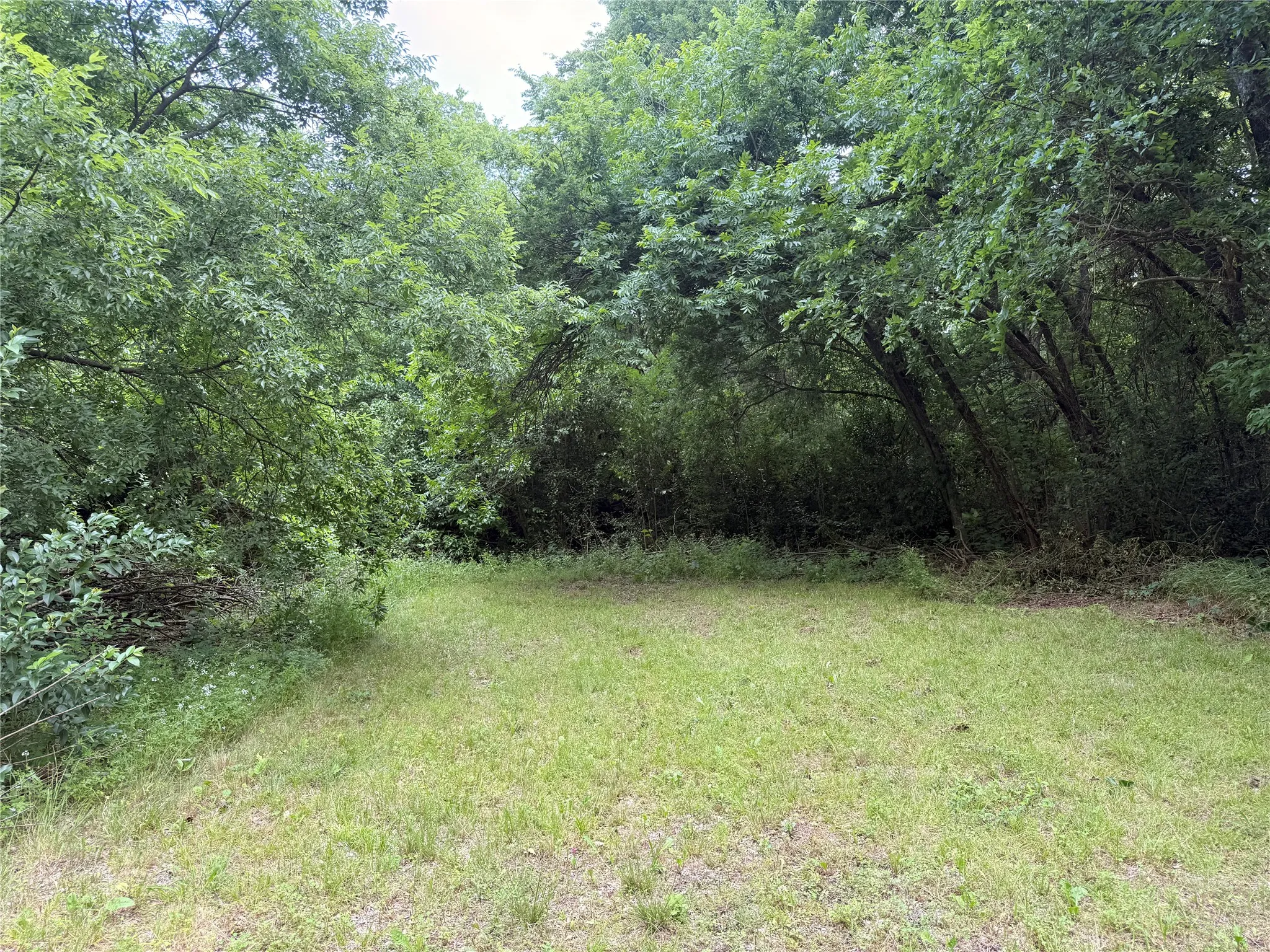 View of back side of lot.