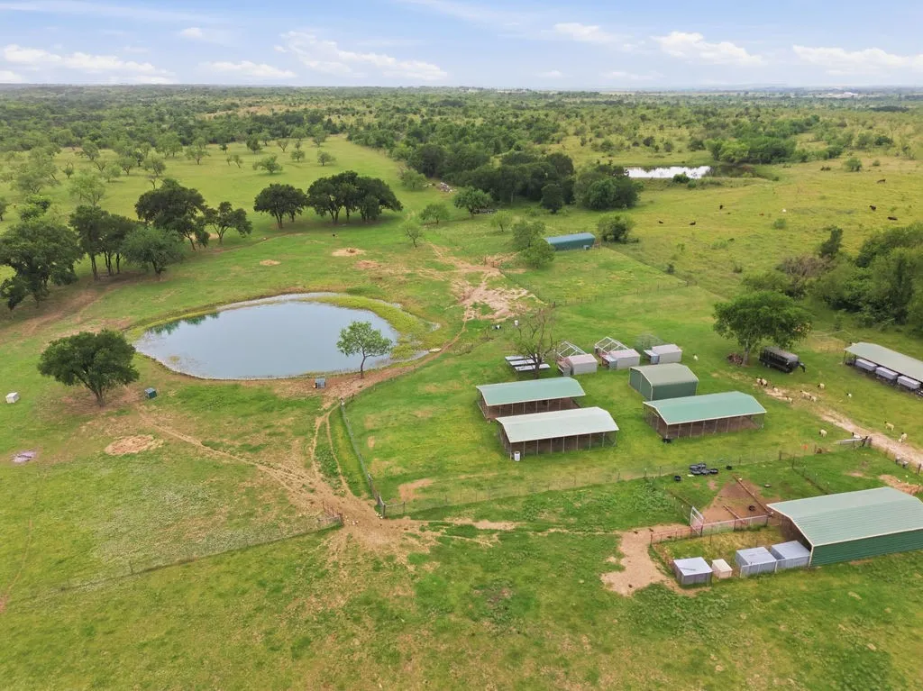 Manufactured Home For Sale in Hill County , 7956 Fm 2114, Hubbard, Texas 76648, 3 Bedrooms, 2 Bathrooms, Garage spaces, 1,088 Sqft, built in 2000, Price $600,000, mls#21272665, Real Estate Agent in Hubbard, Homes For Sale in Hill county, Homes For Sale in Hubbard, Realtor in Hubbard Texas, Real Estate Brokerage Independent Realty Texas, Luminita Cordes Realtor