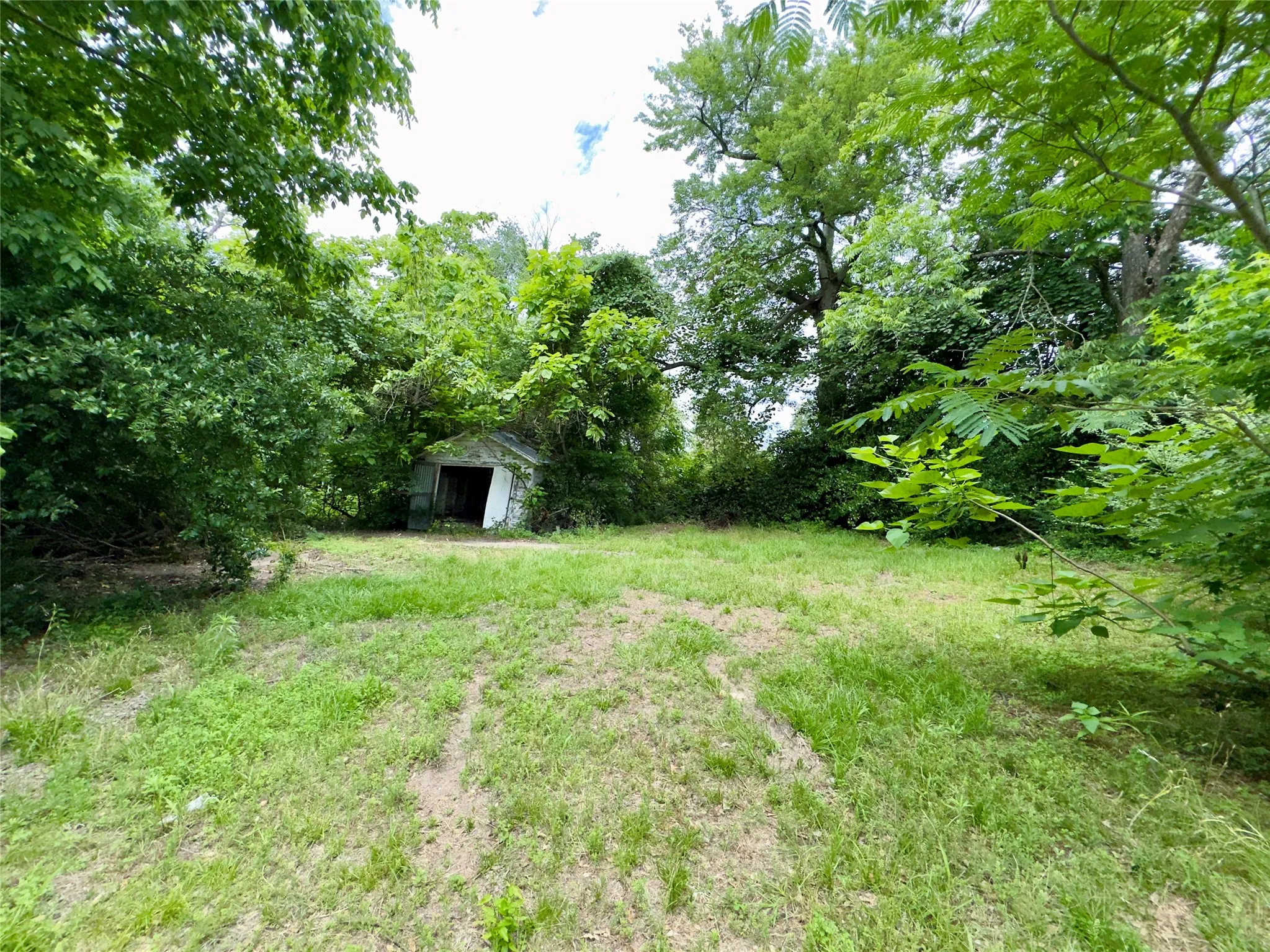 Expansive lot featuring mature trees and established greenery