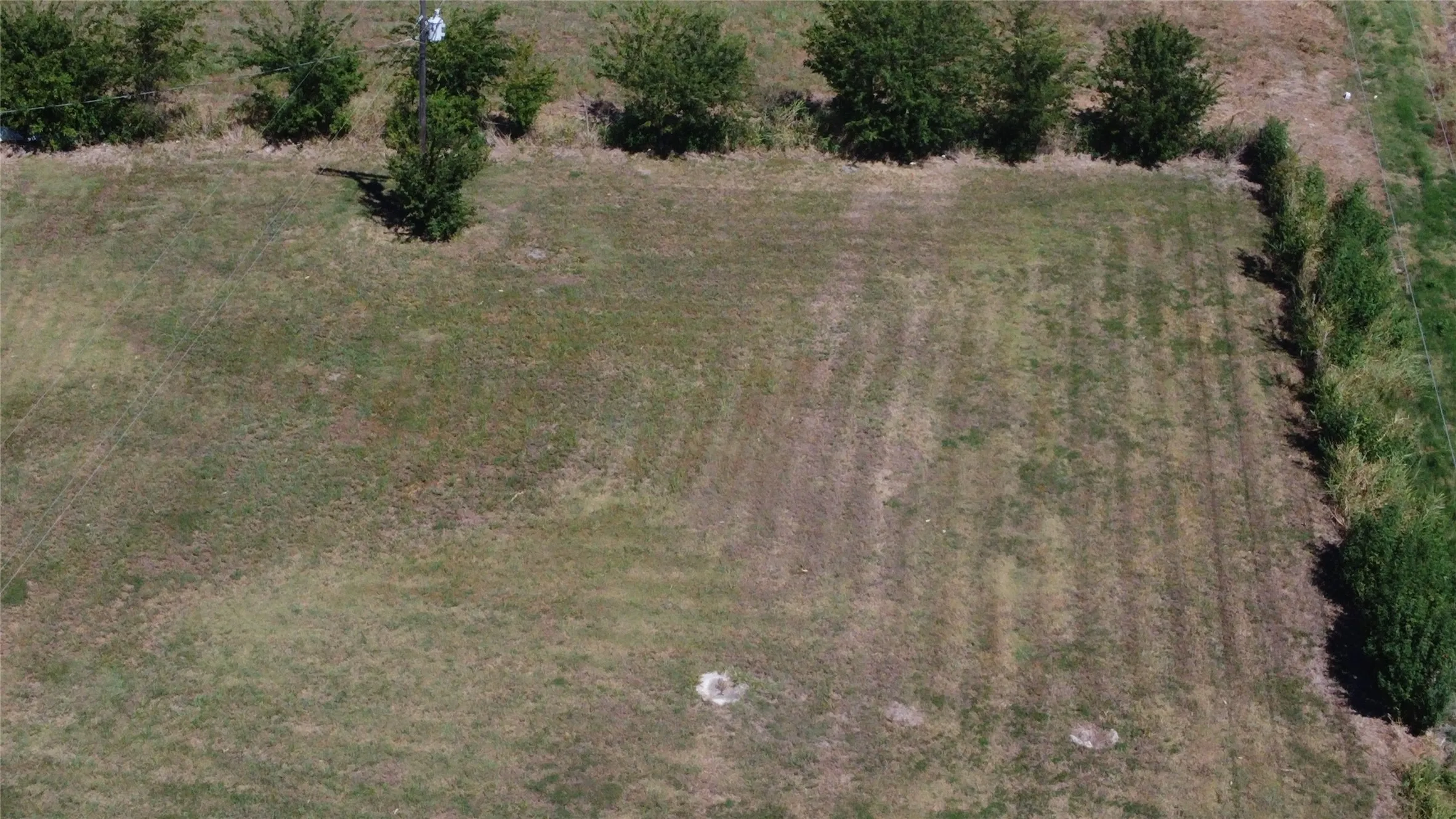 Expansive lot featuring a grass field and perimeter trees