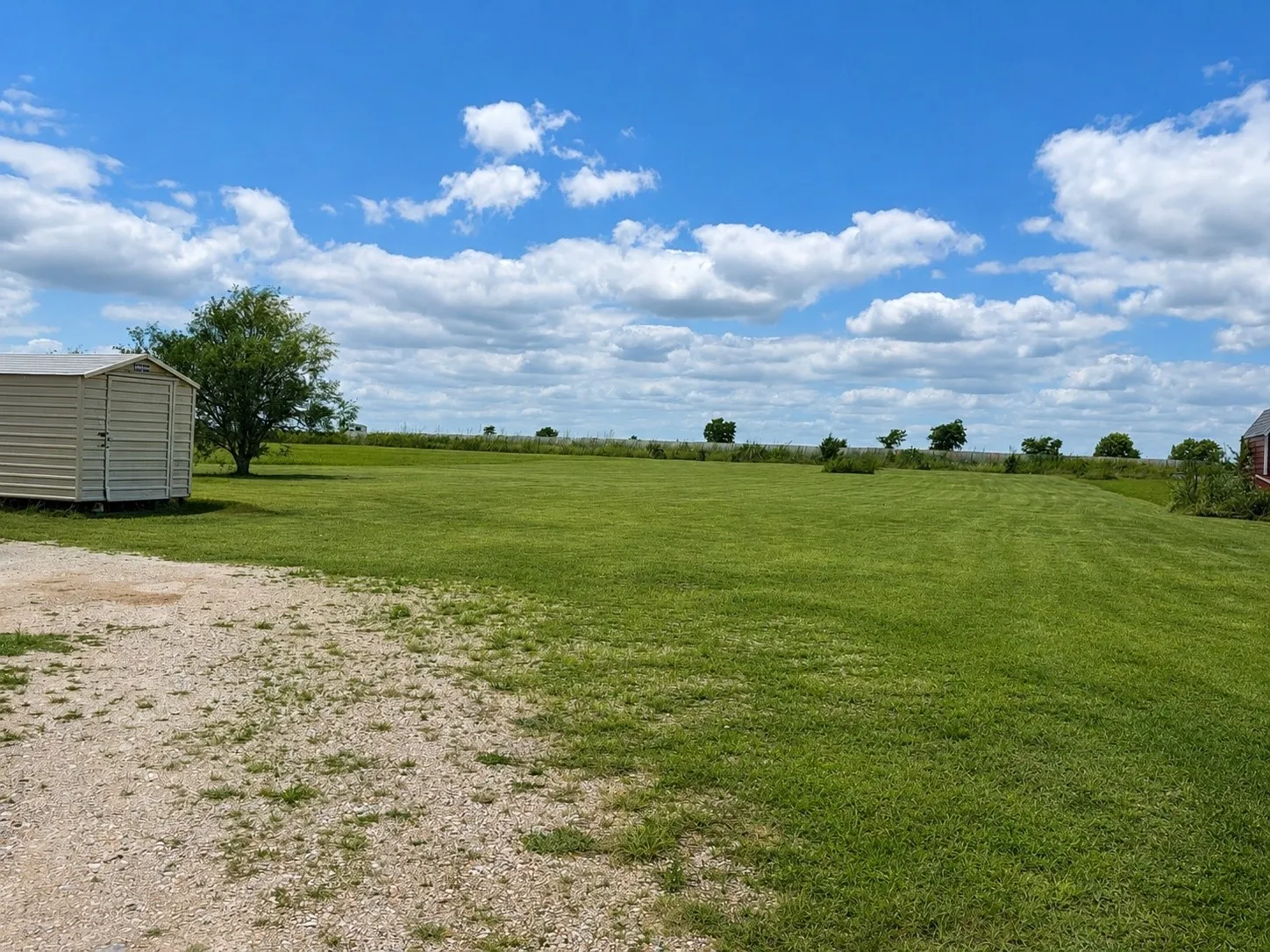 Expansive green lawn with a gravel driveway
