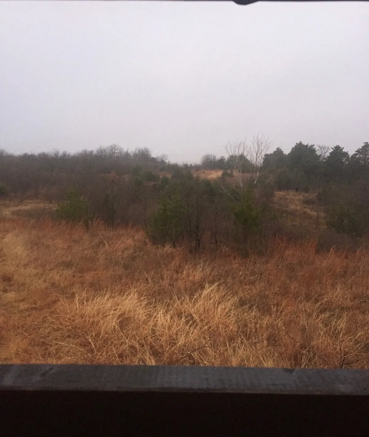 Unimproved Land For Sale in Cooke County , TBD County Road 103, Whitesboro, Texas 76273, 0, 0, Garage spaces, 0 Sqft, built in 0, mls#21273378, Real Estate Agent in Whitesboro, Homes For Sale in Cooke county, Homes For Sale in Whitesboro, Realtor in Whitesboro Texas, Real Estate Brokerage Independent Realty Texas, Luminita Cordes Realtor