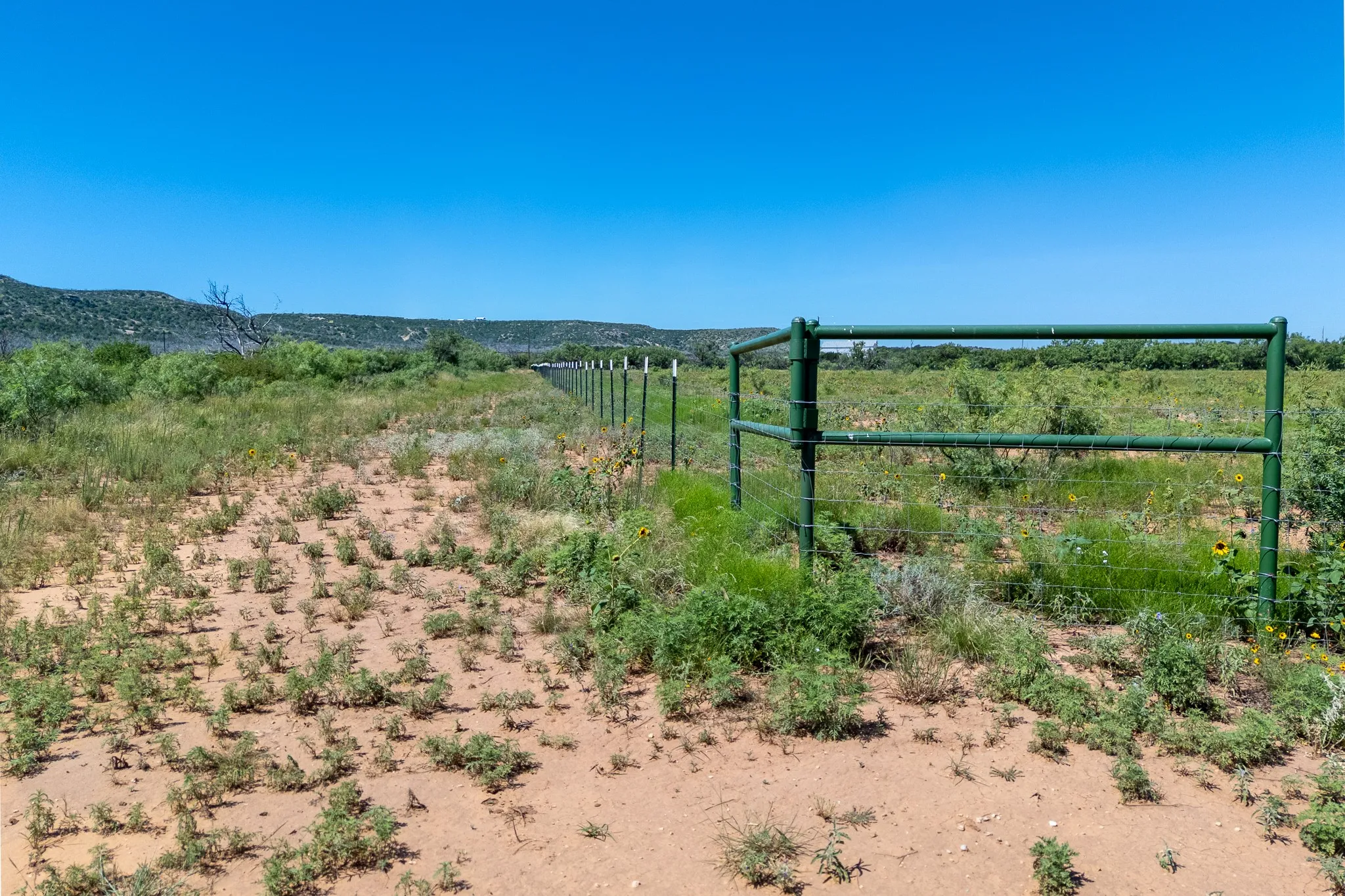 Unimproved Land For Sale in Taylor County , 439 County Road 321, Abilene, Texas 79606, 0, 0, Garage spaces, 0 Sqft, built in 0, mls#21268147, Real Estate Agent in Abilene, Homes For Sale in Taylor county, Homes For Sale in Abilene, Realtor in Abilene Texas, Real Estate Brokerage Independent Realty Texas, Luminita Cordes Realtor