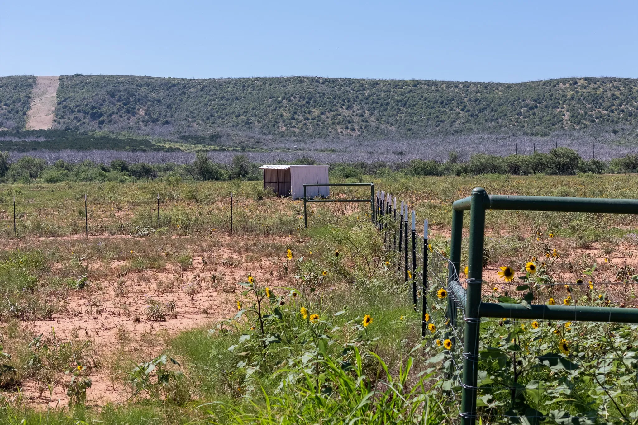 Unimproved Land For Sale in Taylor County , 439 County Road 321, Abilene, Texas 79606, 0, 0, Garage spaces, 0 Sqft, built in 0, mls#21268147, Real Estate Agent in Abilene, Homes For Sale in Taylor county, Homes For Sale in Abilene, Realtor in Abilene Texas, Real Estate Brokerage Independent Realty Texas, Luminita Cordes Realtor