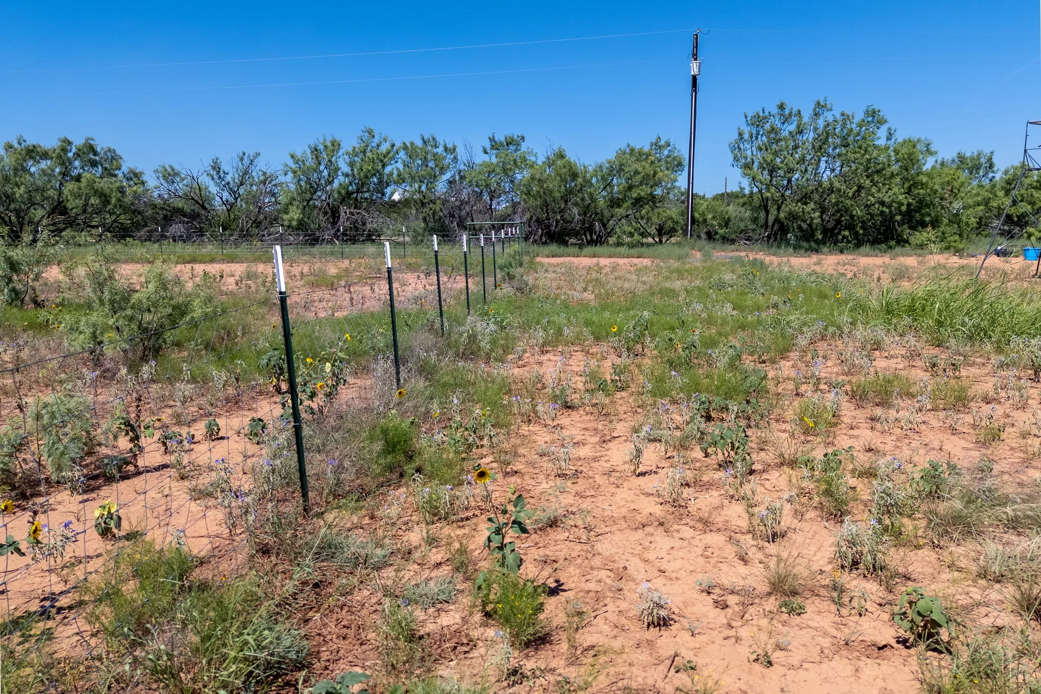 Unimproved Land For Sale in Taylor County , 439 County Road 321, Abilene, Texas 79606, 0, 0, Garage spaces, 0 Sqft, built in 0, mls#21268147, Real Estate Agent in Abilene, Homes For Sale in Taylor county, Homes For Sale in Abilene, Realtor in Abilene Texas, Real Estate Brokerage Independent Realty Texas, Luminita Cordes Realtor