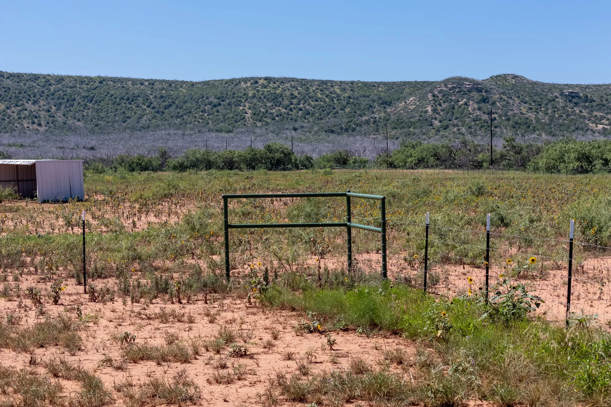 Unimproved Land For Sale in Taylor County , 439 County Road 321, Abilene, Texas 79606, 0, 0, Garage spaces, 0 Sqft, built in 0, mls#21268147, Real Estate Agent in Abilene, Homes For Sale in Taylor county, Homes For Sale in Abilene, Realtor in Abilene Texas, Real Estate Brokerage Independent Realty Texas, Luminita Cordes Realtor