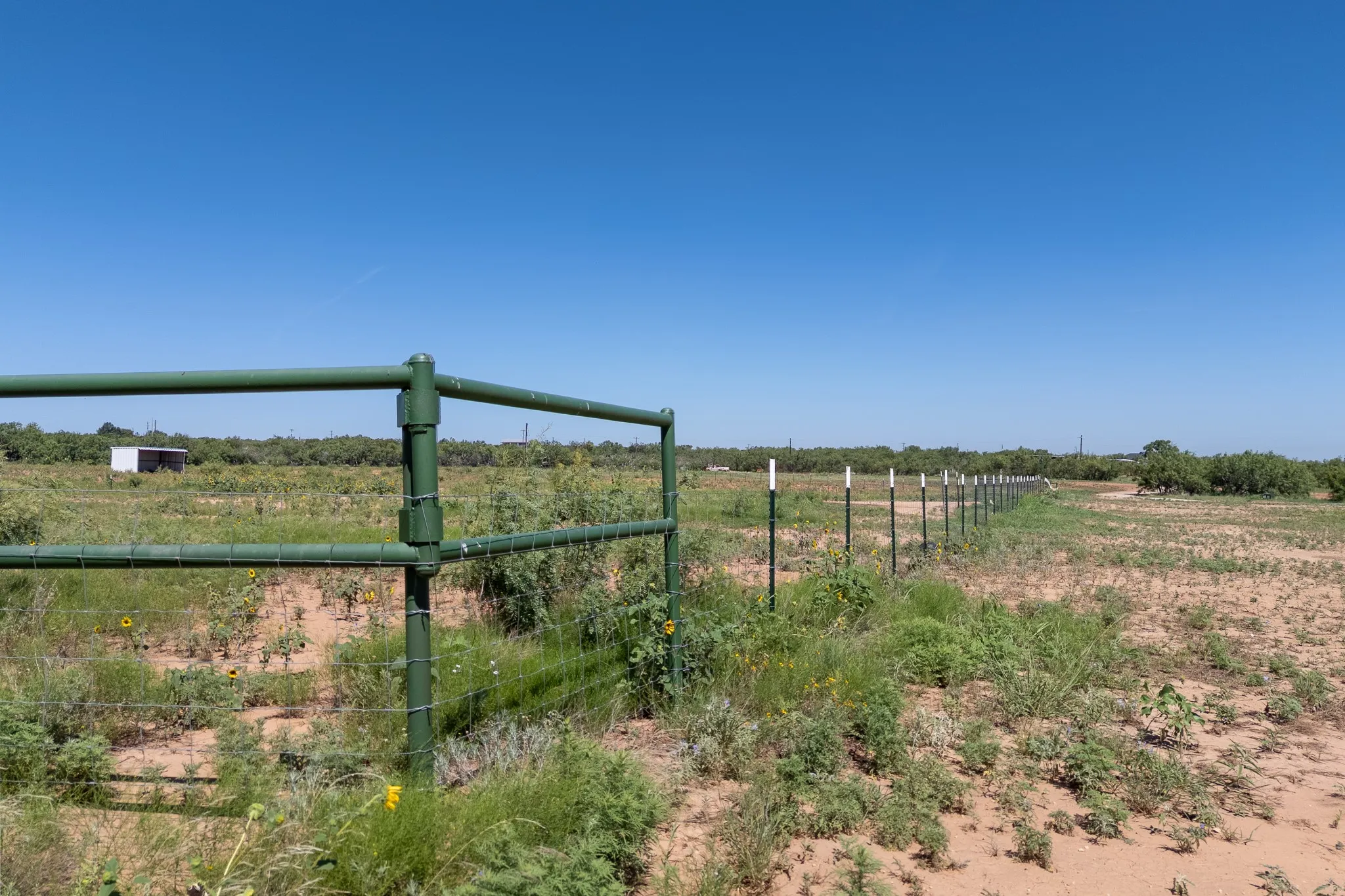 Unimproved Land For Sale in Taylor County , 439 County Road 321, Abilene, Texas 79606, 0, 0, Garage spaces, 0 Sqft, built in 0, mls#21268147, Real Estate Agent in Abilene, Homes For Sale in Taylor county, Homes For Sale in Abilene, Realtor in Abilene Texas, Real Estate Brokerage Independent Realty Texas, Luminita Cordes Realtor