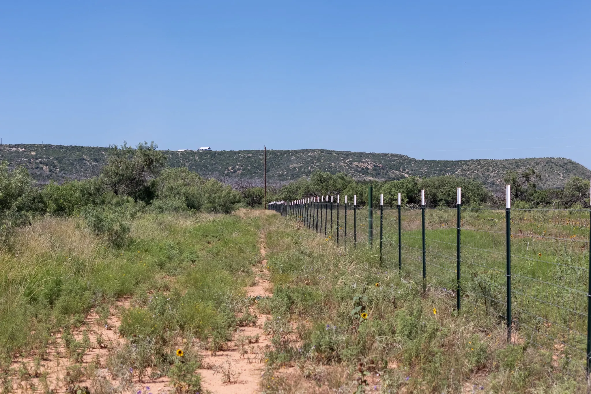 Unimproved Land For Sale in Taylor County , 439 County Road 321, Abilene, Texas 79606, 0, 0, Garage spaces, 0 Sqft, built in 0, mls#21268147, Real Estate Agent in Abilene, Homes For Sale in Taylor county, Homes For Sale in Abilene, Realtor in Abilene Texas, Real Estate Brokerage Independent Realty Texas, Luminita Cordes Realtor