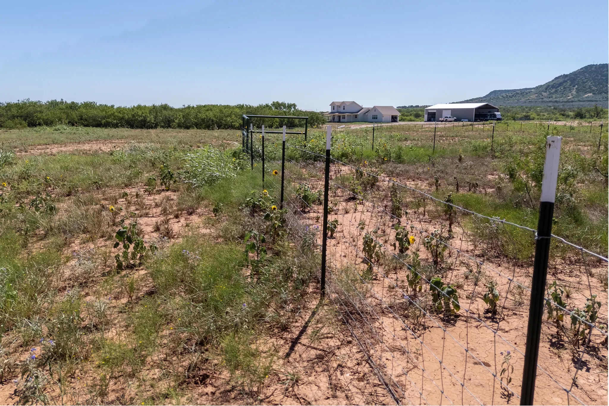 Unimproved Land For Sale in Taylor County , 439 County Road 321, Abilene, Texas 79606, 0, 0, Garage spaces, 0 Sqft, built in 0, mls#21268147, Real Estate Agent in Abilene, Homes For Sale in Taylor county, Homes For Sale in Abilene, Realtor in Abilene Texas, Real Estate Brokerage Independent Realty Texas, Luminita Cordes Realtor