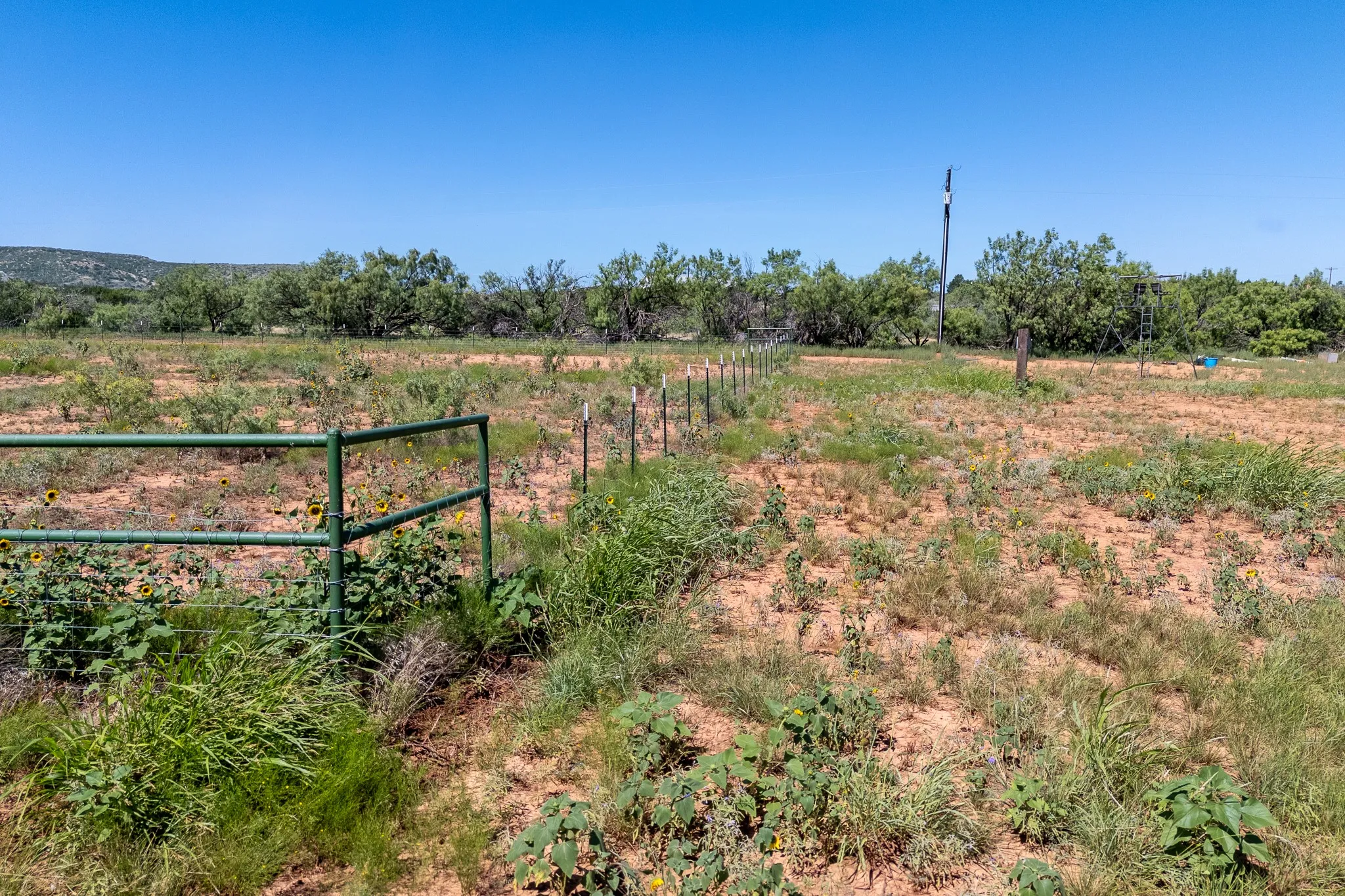 Unimproved Land For Sale in Taylor County , 439 County Road 321, Abilene, Texas 79606, 0, 0, Garage spaces, 0 Sqft, built in 0, mls#21268147, Real Estate Agent in Abilene, Homes For Sale in Taylor county, Homes For Sale in Abilene, Realtor in Abilene Texas, Real Estate Brokerage Independent Realty Texas, Luminita Cordes Realtor