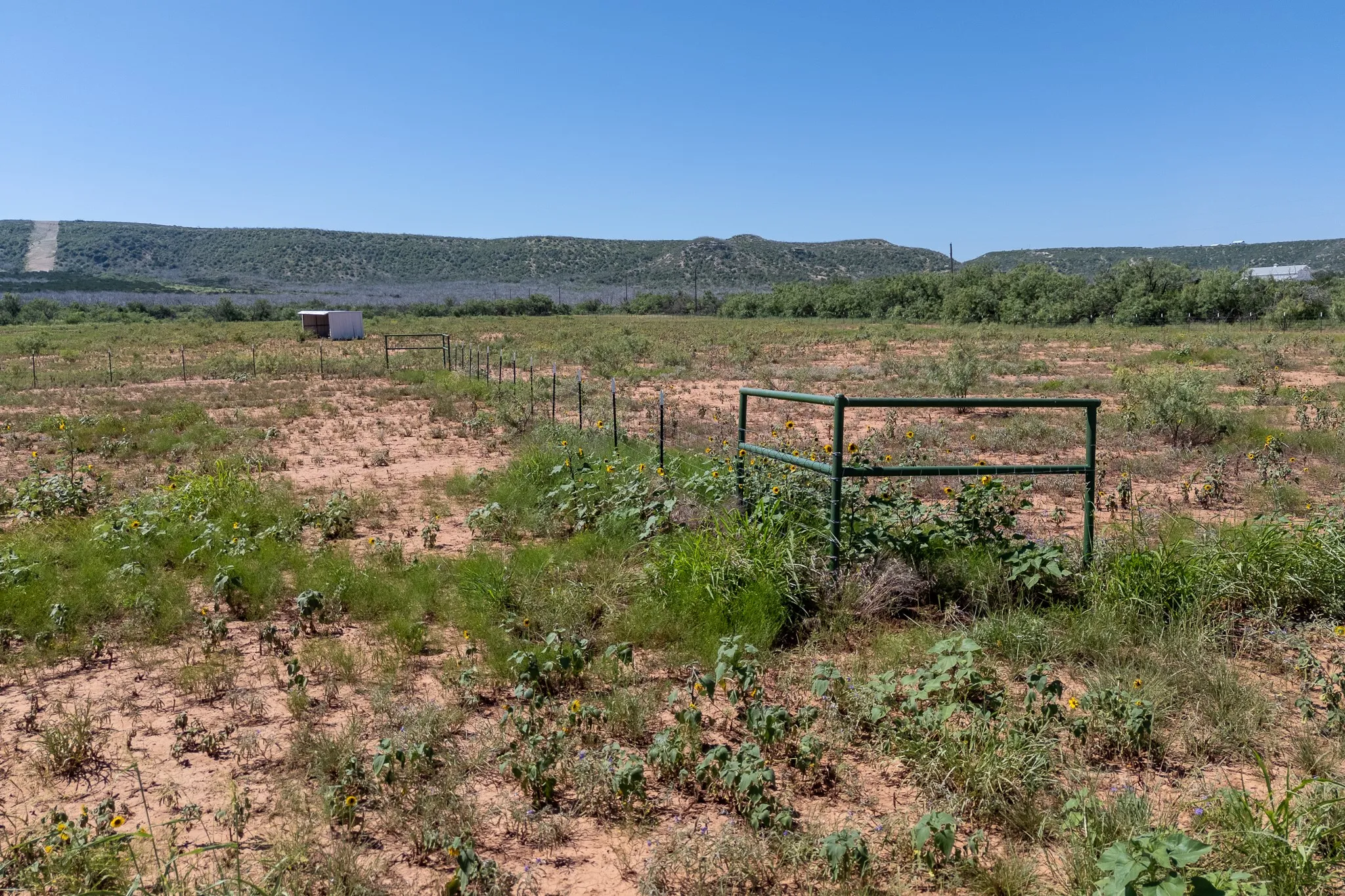 Unimproved Land For Sale in Taylor County , 439 County Road 321, Abilene, Texas 79606, 0, 0, Garage spaces, 0 Sqft, built in 0, mls#21268147, Real Estate Agent in Abilene, Homes For Sale in Taylor county, Homes For Sale in Abilene, Realtor in Abilene Texas, Real Estate Brokerage Independent Realty Texas, Luminita Cordes Realtor