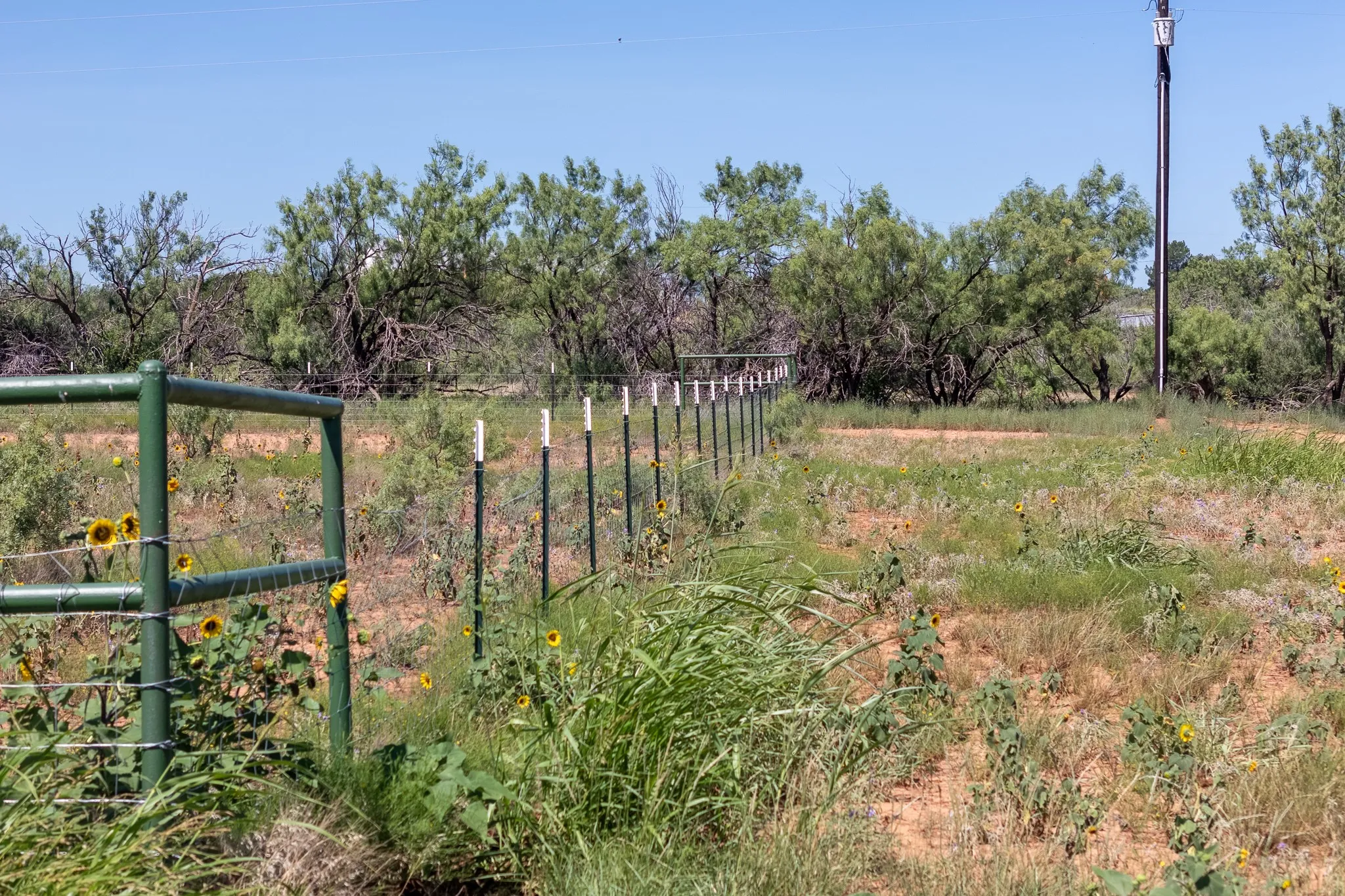 Unimproved Land For Sale in Taylor County , 439 County Road 321, Abilene, Texas 79606, 0, 0, Garage spaces, 0 Sqft, built in 0, mls#21268147, Real Estate Agent in Abilene, Homes For Sale in Taylor county, Homes For Sale in Abilene, Realtor in Abilene Texas, Real Estate Brokerage Independent Realty Texas, Luminita Cordes Realtor