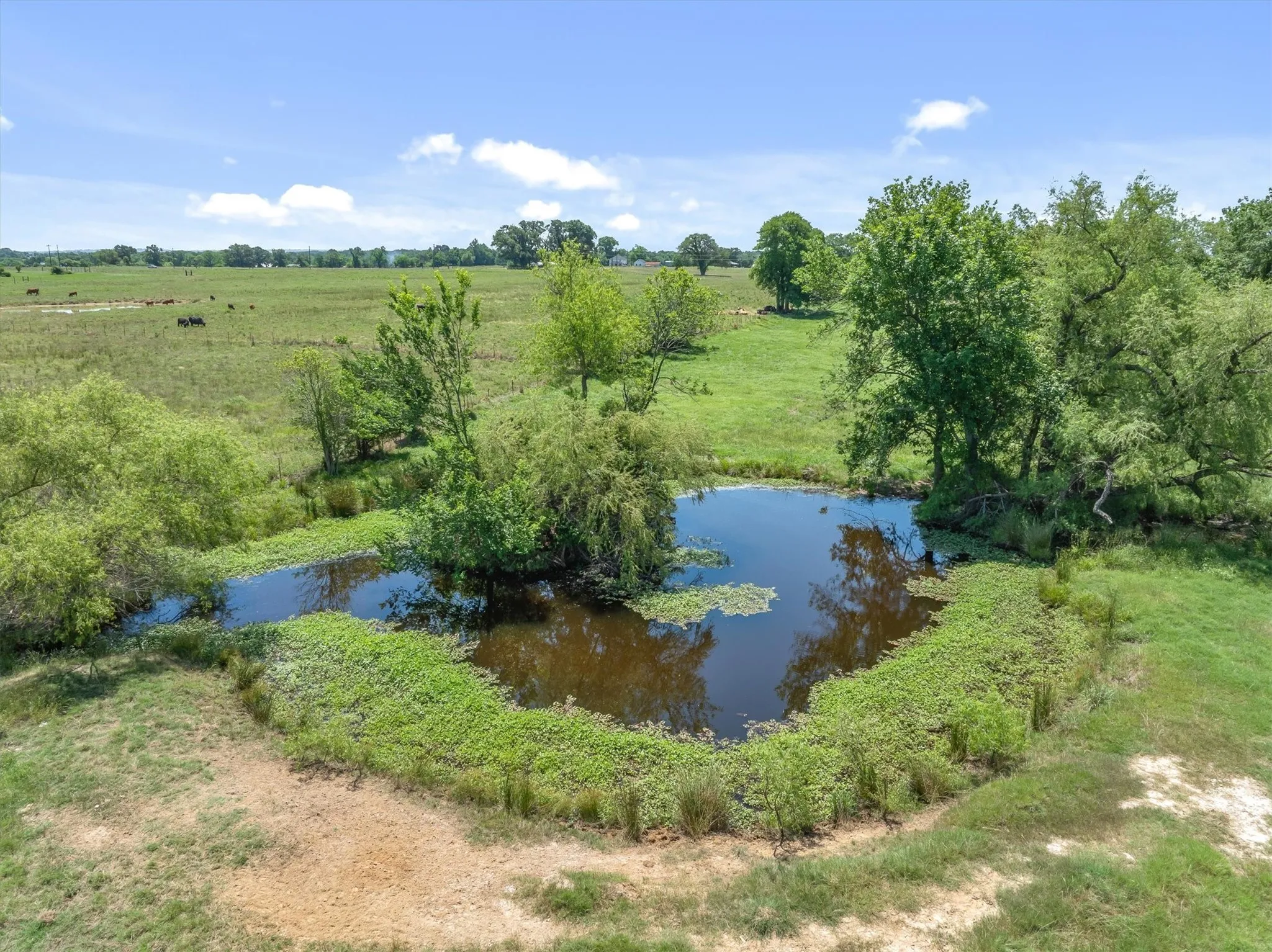 Single Family Residence For Sale in Van Zandt County , 1026 Vz County Road 2115, Canton, Texas 75103, 4 Bedroom, 3 Bathroom, Garage spaces, 2,400 Sqft, built in 2020, mls#21273134, Real Estate Agent in Canton, Homes For Sale in Van Zandt county, Homes For Sale in Canton, Realtor in Canton Texas, Real Estate Brokerage Independent Realty Texas, Luminita Cordes Realtor