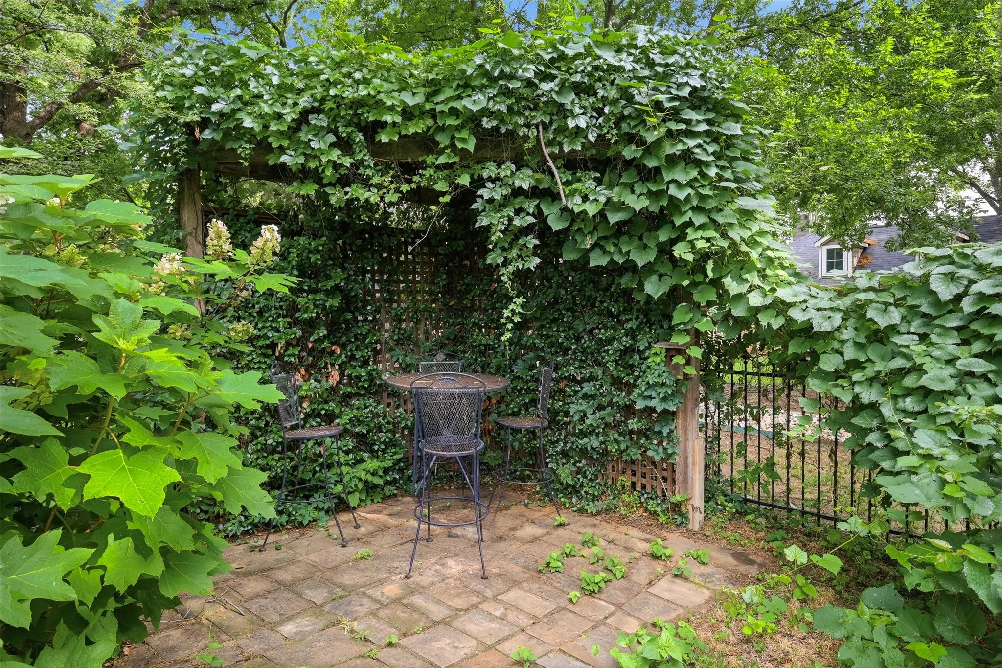 Outdoor patio area featuring a wooden pergola covered in lush foliage, a lattice privacy screen, and a paved brick surface