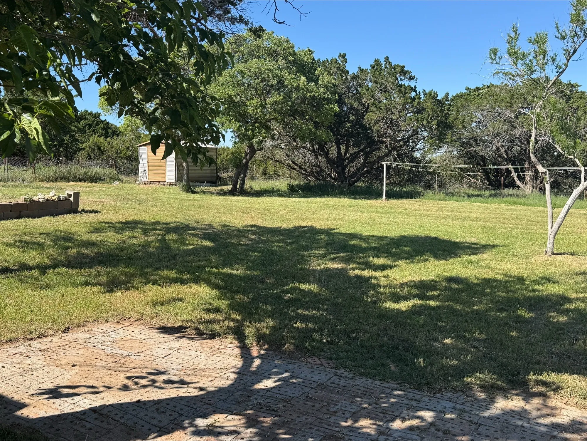 Back yard with storage shed. Mulberry and desert willow trees.