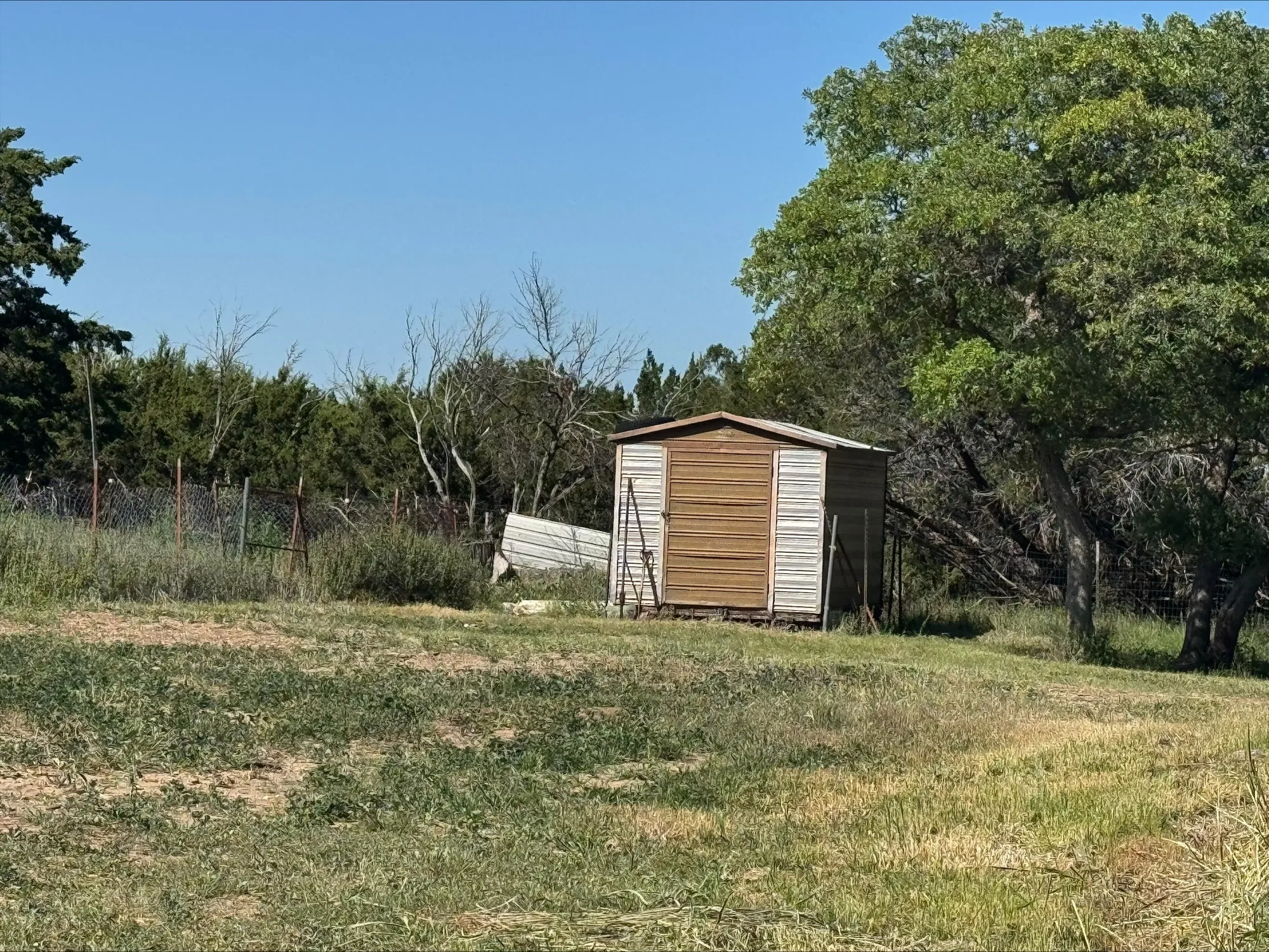 Storage shed in back yard.