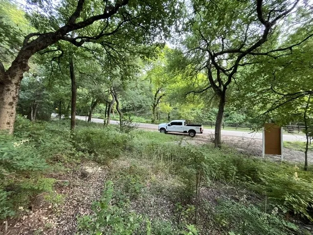 Wooded lot featuring mature trees and lush undergrowth
