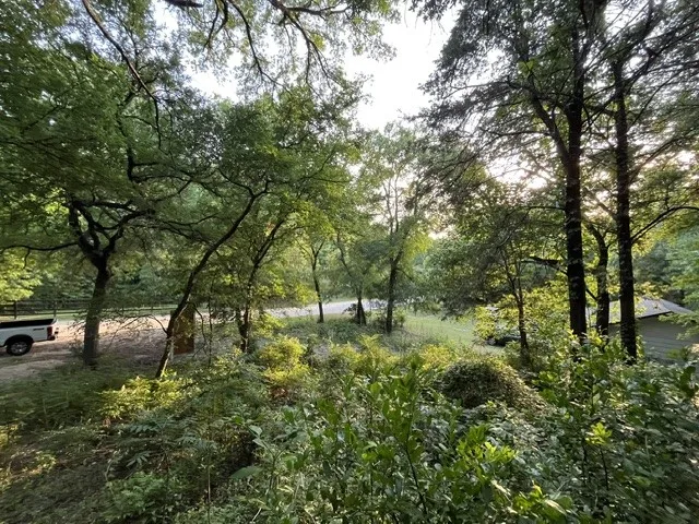 Wooded grounds featuring mature trees and diverse foliage