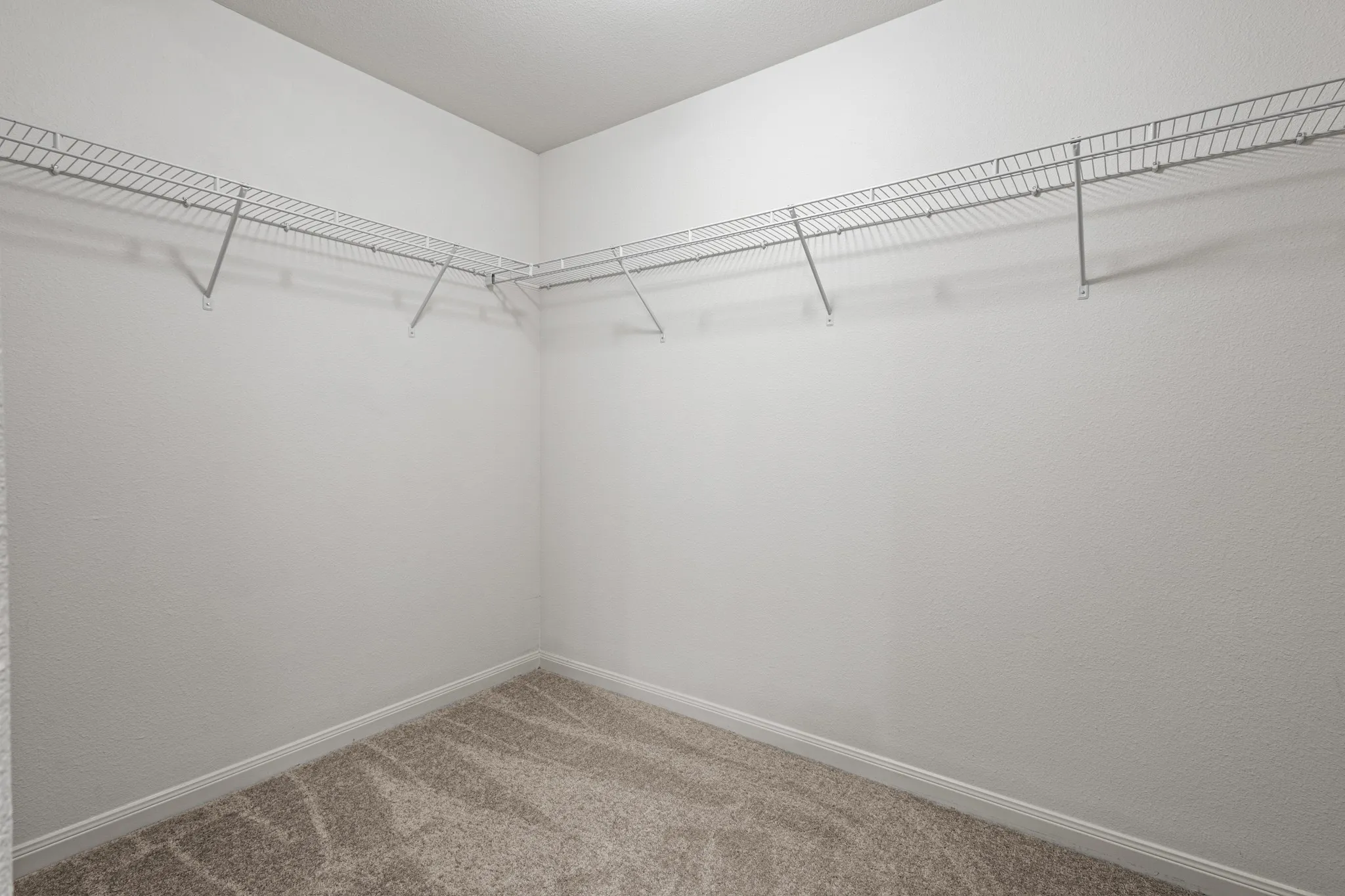 Walk-in closet featuring full perimeter wire shelving, neutral carpeting, and white baseboards