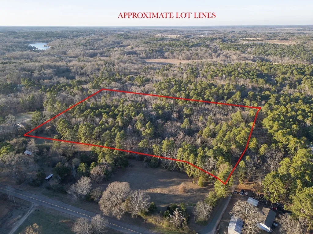 Unimproved Land For Sale in Wood County , 0000 PR 6662, Mineola, Texas 75773, 0, 0, Garage spaces, 0 Sqft, built in 0, mls#21273612, Real Estate Agent in Mineola, Homes For Sale in Wood county, Homes For Sale in Mineola, Realtor in Mineola Texas, Real Estate Brokerage Independent Realty Texas, Luminita Cordes Realtor