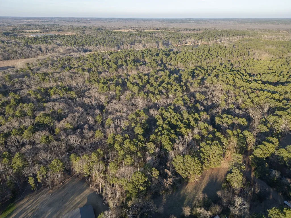Unimproved Land For Sale in Wood County , 0000 PR 6662, Mineola, Texas 75773, 0, 0, Garage spaces, 0 Sqft, built in 0, mls#21273612, Real Estate Agent in Mineola, Homes For Sale in Wood county, Homes For Sale in Mineola, Realtor in Mineola Texas, Real Estate Brokerage Independent Realty Texas, Luminita Cordes Realtor