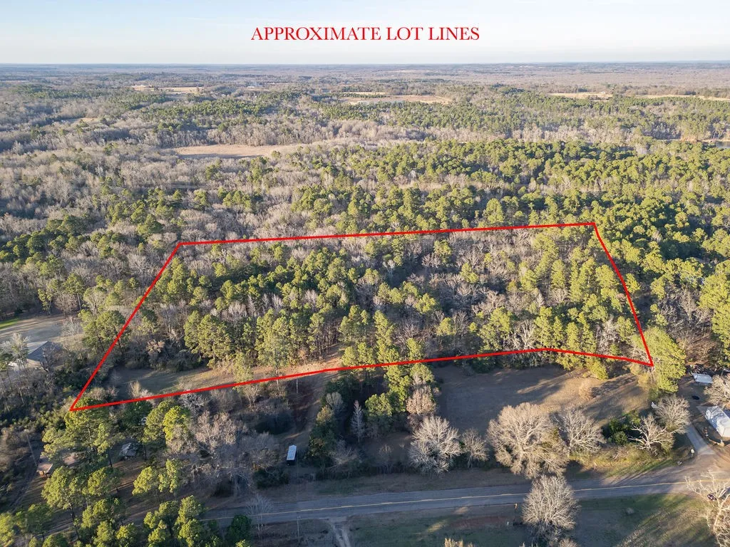 Unimproved Land For Sale in Wood County , 0000 PR 6662, Mineola, Texas 75773, 0, 0, Garage spaces, 0 Sqft, built in 0, mls#21273612, Real Estate Agent in Mineola, Homes For Sale in Wood county, Homes For Sale in Mineola, Realtor in Mineola Texas, Real Estate Brokerage Independent Realty Texas, Luminita Cordes Realtor