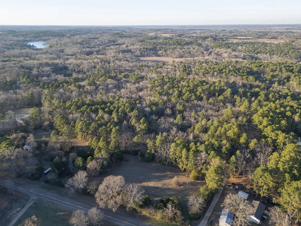 Unimproved Land For Sale in Wood County , 0000 PR 6662, Mineola, Texas 75773, 0, 0, Garage spaces, 0 Sqft, built in 0, mls#21273612, Real Estate Agent in Mineola, Homes For Sale in Wood county, Homes For Sale in Mineola, Realtor in Mineola Texas, Real Estate Brokerage Independent Realty Texas, Luminita Cordes Realtor