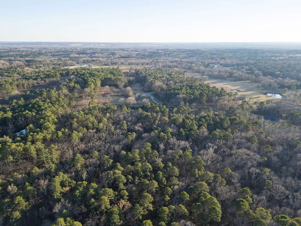 Unimproved Land For Sale in Wood County , 0000 PR 6662, Mineola, Texas 75773, 0, 0, Garage spaces, 0 Sqft, built in 0, mls#21273612, Real Estate Agent in Mineola, Homes For Sale in Wood county, Homes For Sale in Mineola, Realtor in Mineola Texas, Real Estate Brokerage Independent Realty Texas, Luminita Cordes Realtor