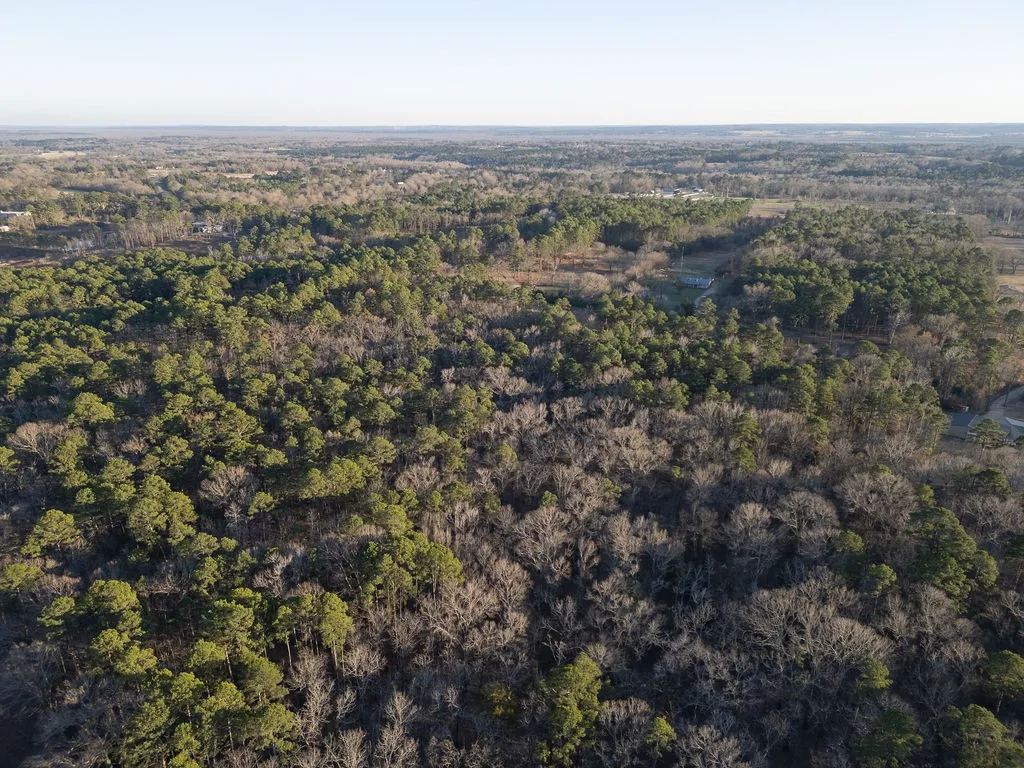 Unimproved Land For Sale in Wood County , 0000 PR 6662, Mineola, Texas 75773, 0, 0, Garage spaces, 0 Sqft, built in 0, mls#21273612, Real Estate Agent in Mineola, Homes For Sale in Wood county, Homes For Sale in Mineola, Realtor in Mineola Texas, Real Estate Brokerage Independent Realty Texas, Luminita Cordes Realtor