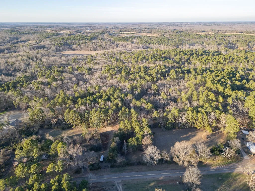 Unimproved Land For Sale in Wood County , 0000 PR 6662, Mineola, Texas 75773, 0, 0, Garage spaces, 0 Sqft, built in 0, mls#21273612, Real Estate Agent in Mineola, Homes For Sale in Wood county, Homes For Sale in Mineola, Realtor in Mineola Texas, Real Estate Brokerage Independent Realty Texas, Luminita Cordes Realtor