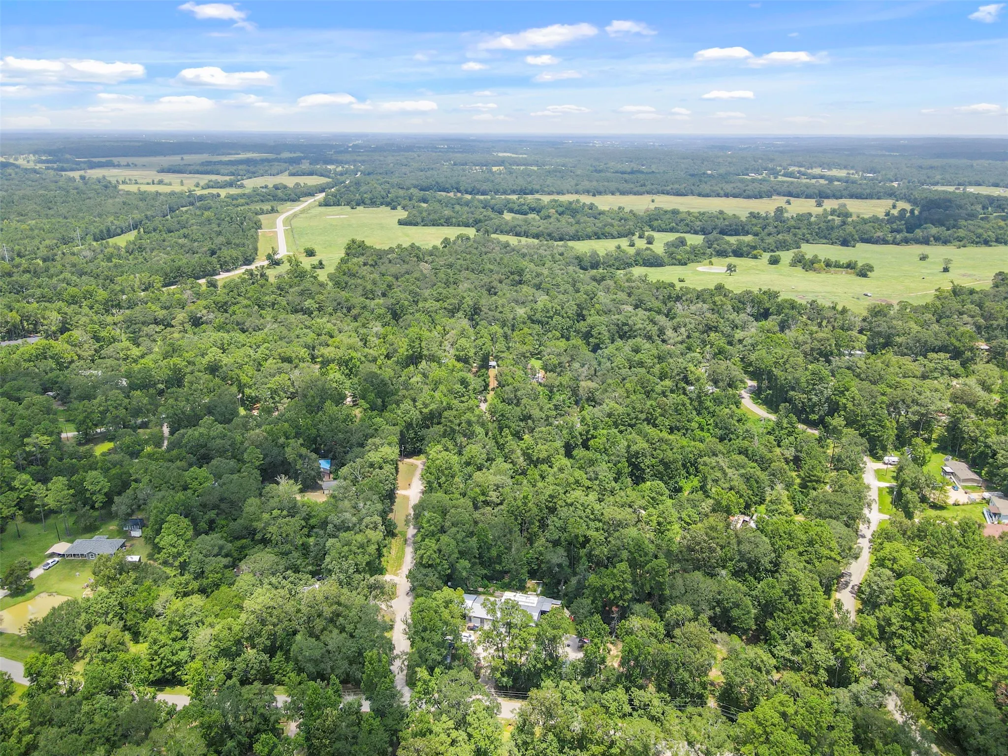 Unimproved Land For Sale in Montgomery County , 000 Fisher Ln Loop, Willis, Texas 77378, 0, 0, Garage spaces, 0 Sqft, built in 0, Price $82,350, mls#21273613, Real Estate Agent in Willis, Homes For Sale in Montgomery county, Homes For Sale in Willis, Realtor in Willis Texas, Real Estate Brokerage Independent Realty Texas, Luminita Cordes Realtor