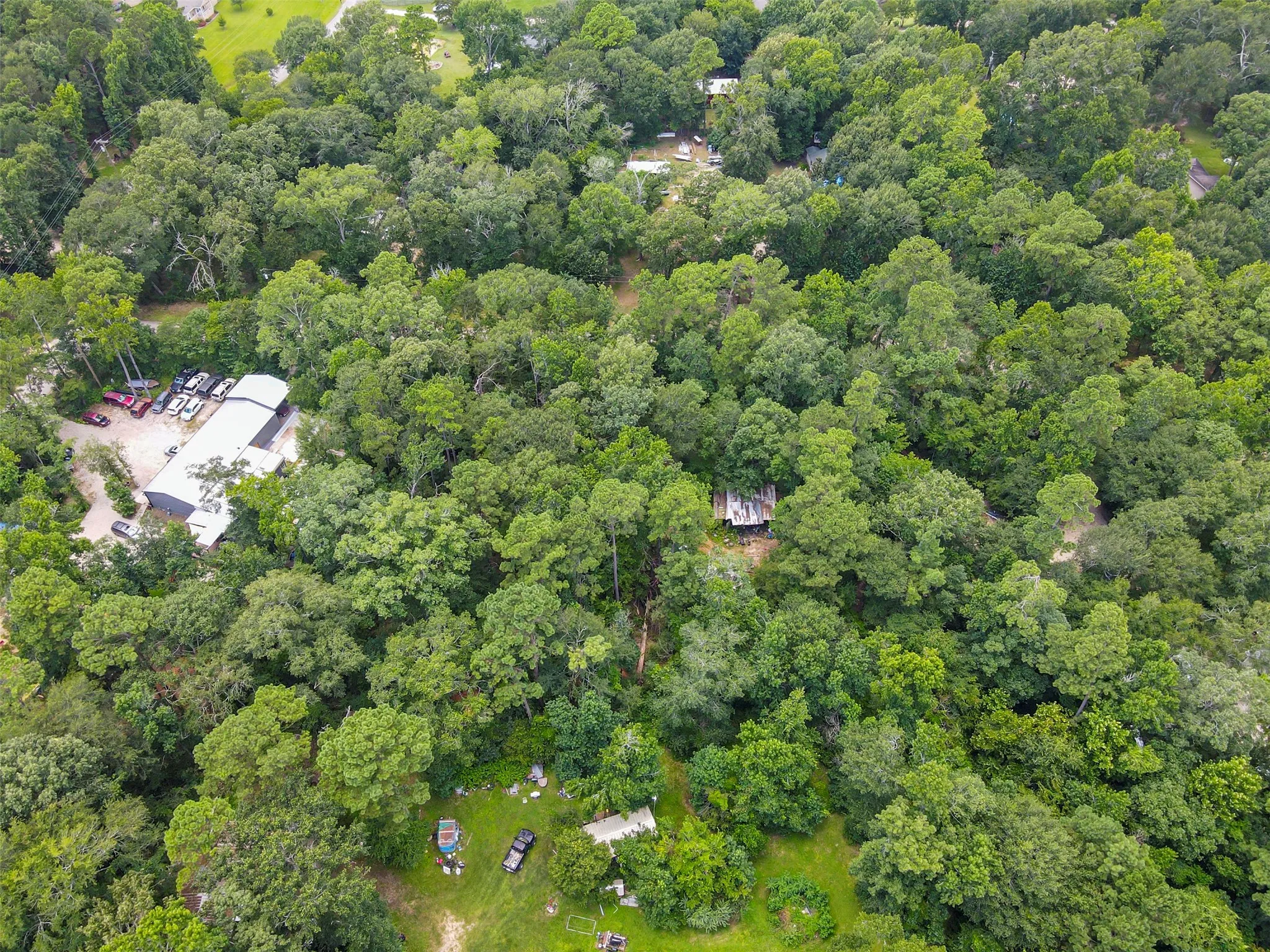 Unimproved Land For Sale in Montgomery County , 000 Fisher Ln Loop, Willis, Texas 77378, 0, 0, Garage spaces, 0 Sqft, built in 0, Price $82,350, mls#21273613, Real Estate Agent in Willis, Homes For Sale in Montgomery county, Homes For Sale in Willis, Realtor in Willis Texas, Real Estate Brokerage Independent Realty Texas, Luminita Cordes Realtor