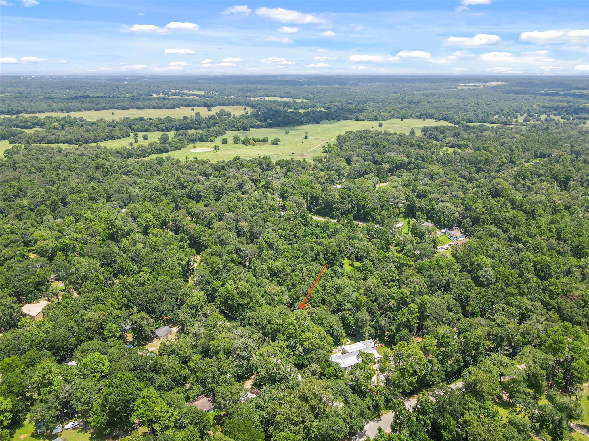 Unimproved Land For Sale in Montgomery County , 000 Fisher Ln Loop, Willis, Texas 77378, 0, 0, Garage spaces, 0 Sqft, built in 0, Price $82,350, mls#21273613, Real Estate Agent in Willis, Homes For Sale in Montgomery county, Homes For Sale in Willis, Realtor in Willis Texas, Real Estate Brokerage Independent Realty Texas, Luminita Cordes Realtor