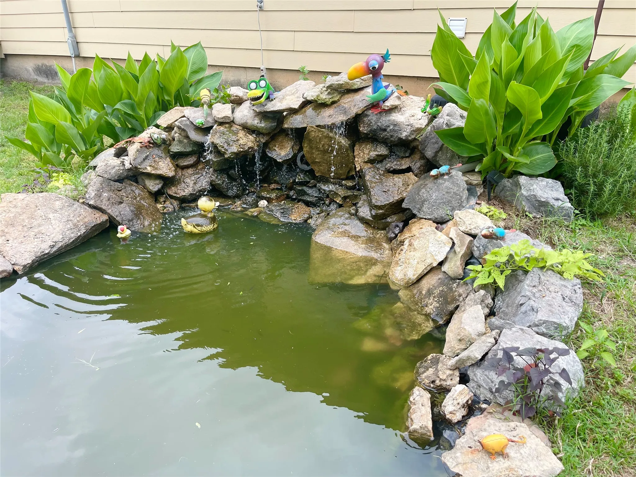 Goldfish Pond
