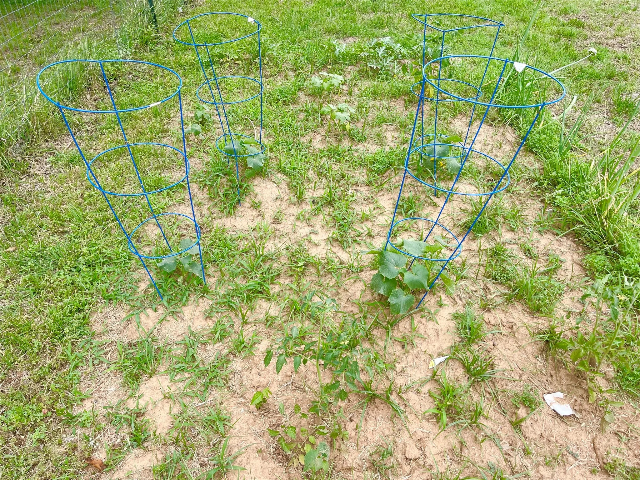 Garden Area